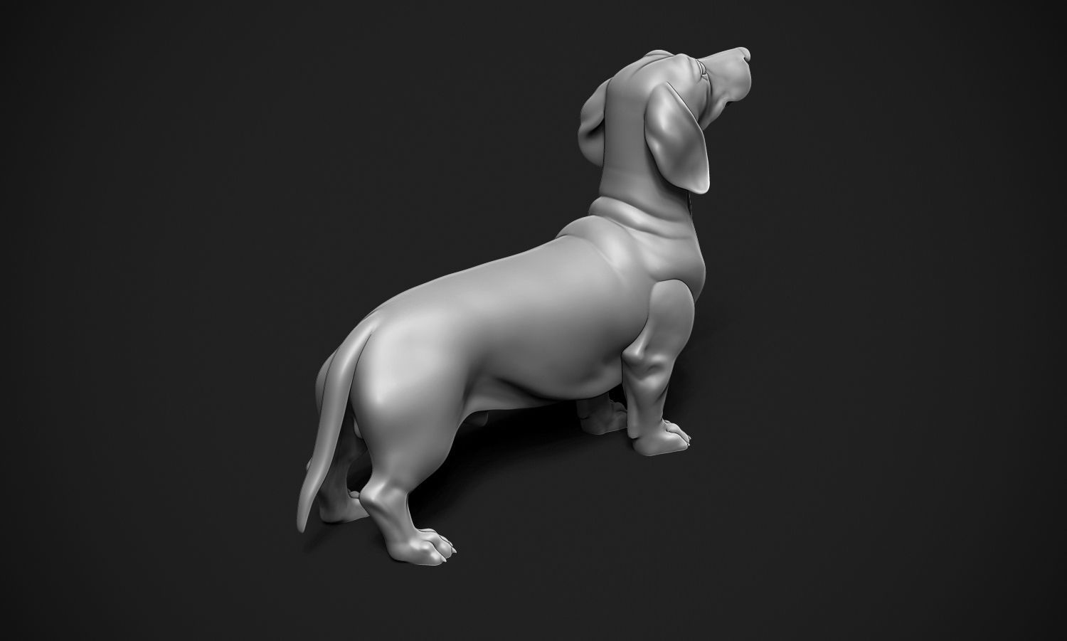 Dachshund 3D print model_7