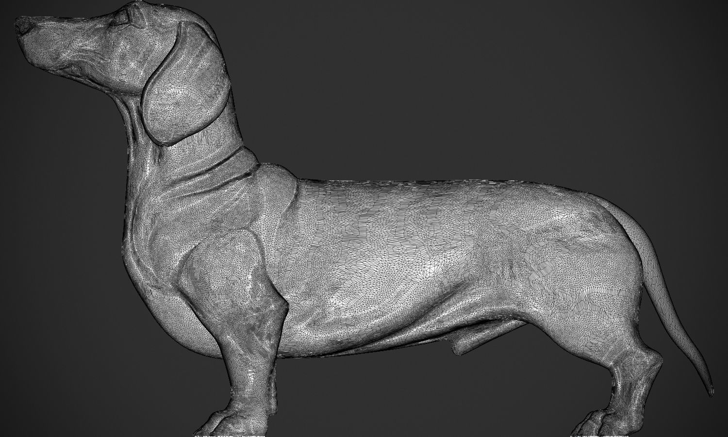 Dachshund 3D print model_14