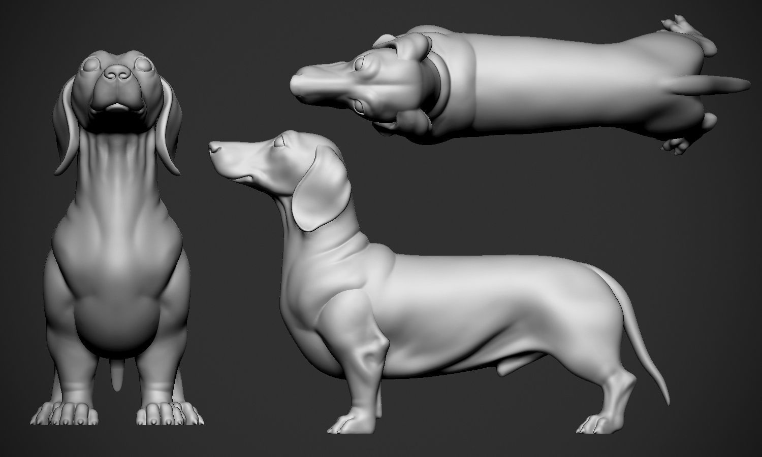 Dachshund 3D print model_12