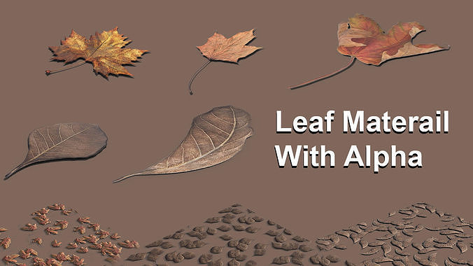 Leaf Materials With Alpha Vol 1 Texture