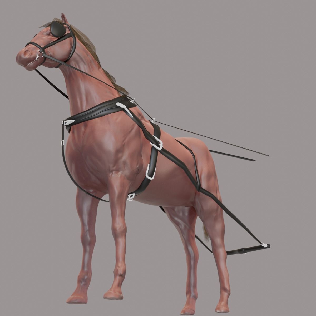horse for a carriage model 3D model_10