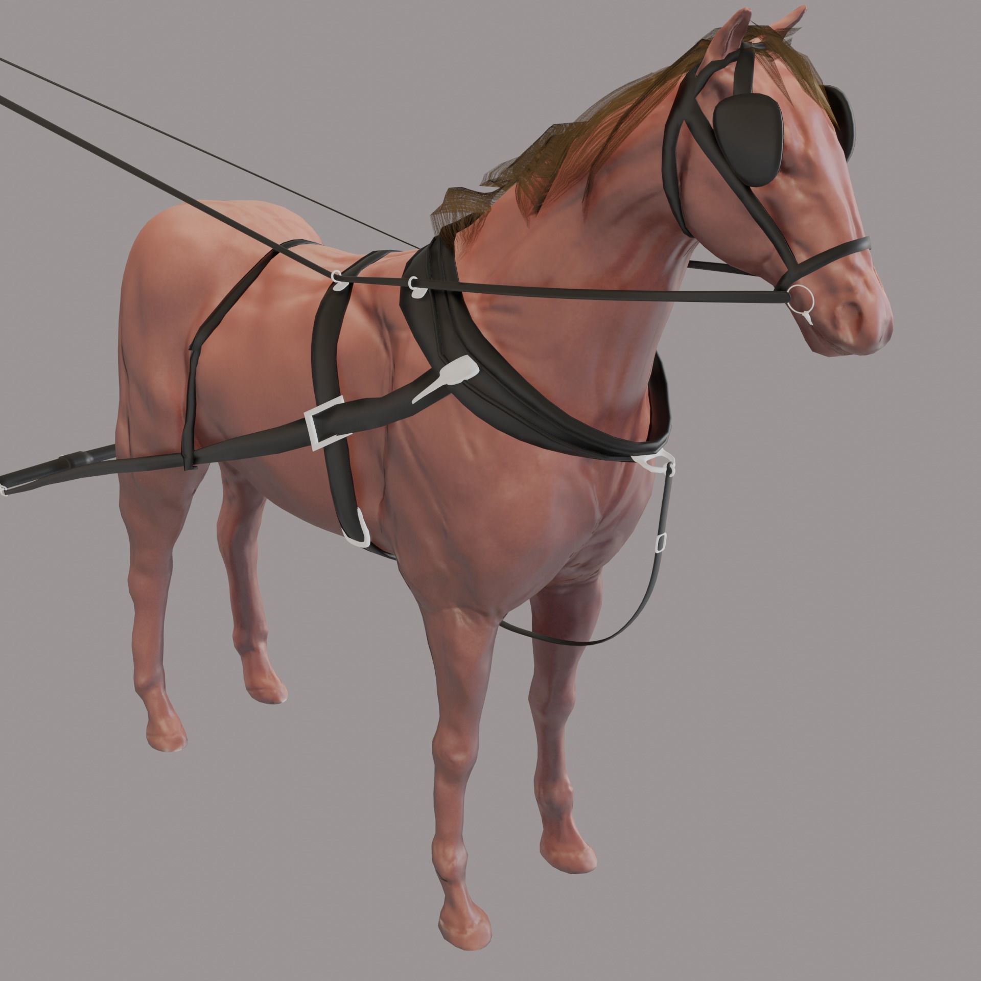 horse for a carriage model 3D model_8