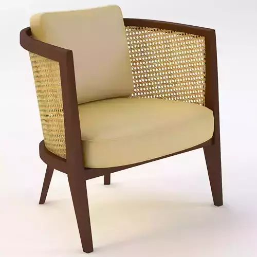 Mid century Cane hoop chair