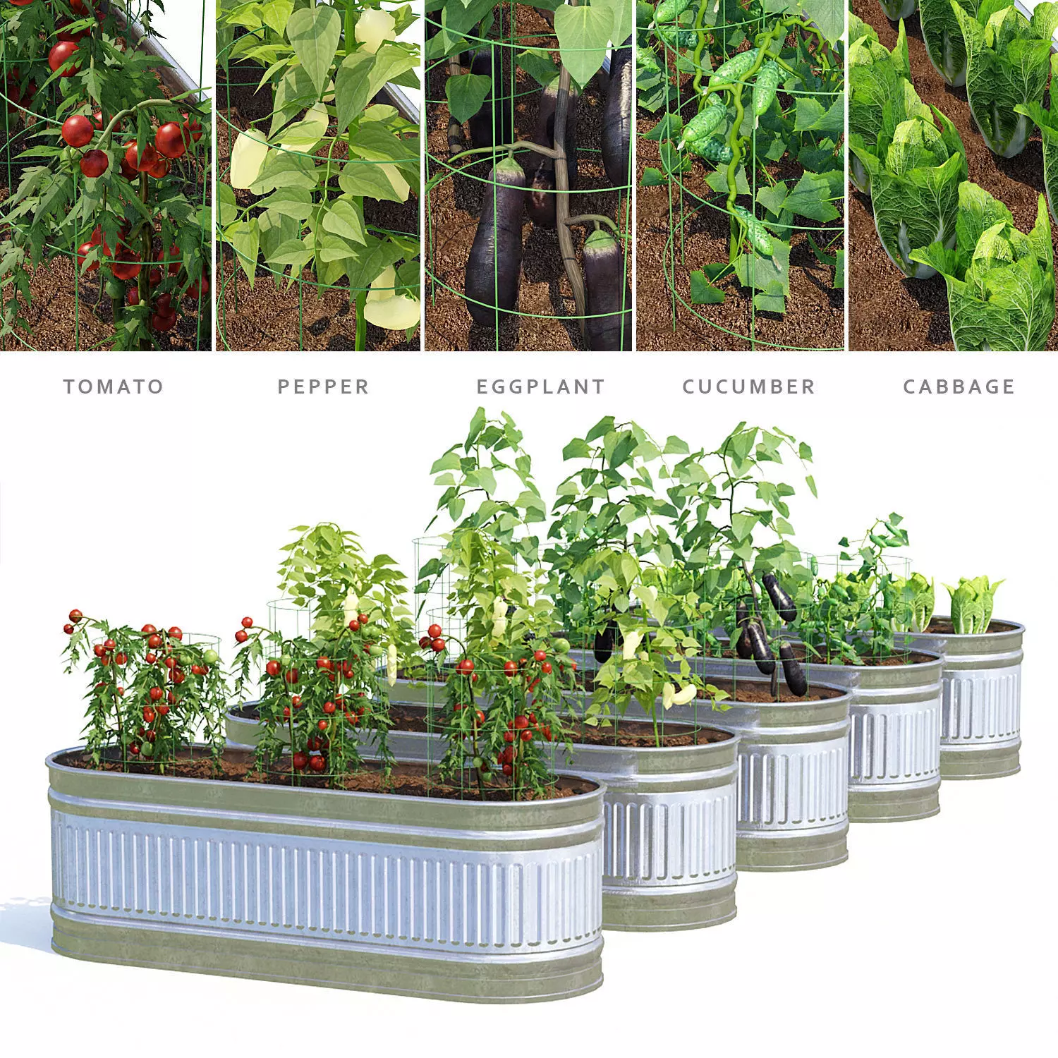 Kitchen garden vol1 3D model_0