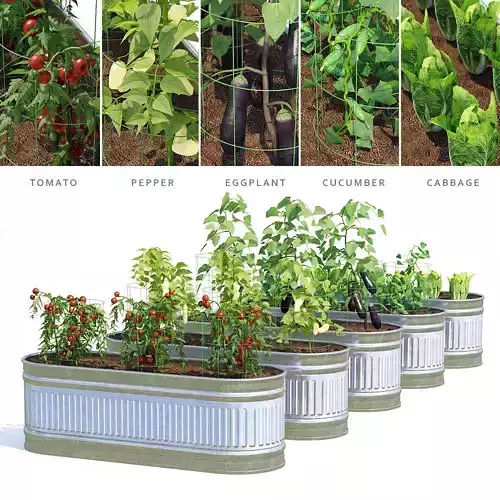 Kitchen garden vol1 3D model