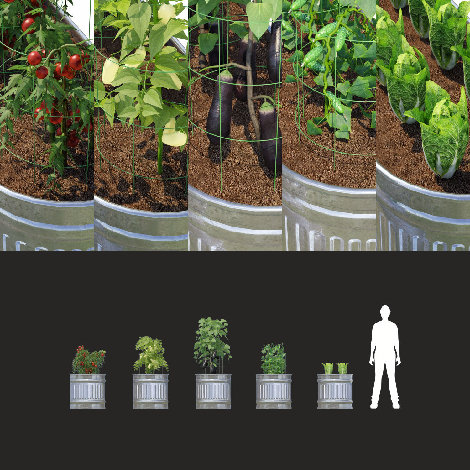 Kitchen garden vol1 3D model_1