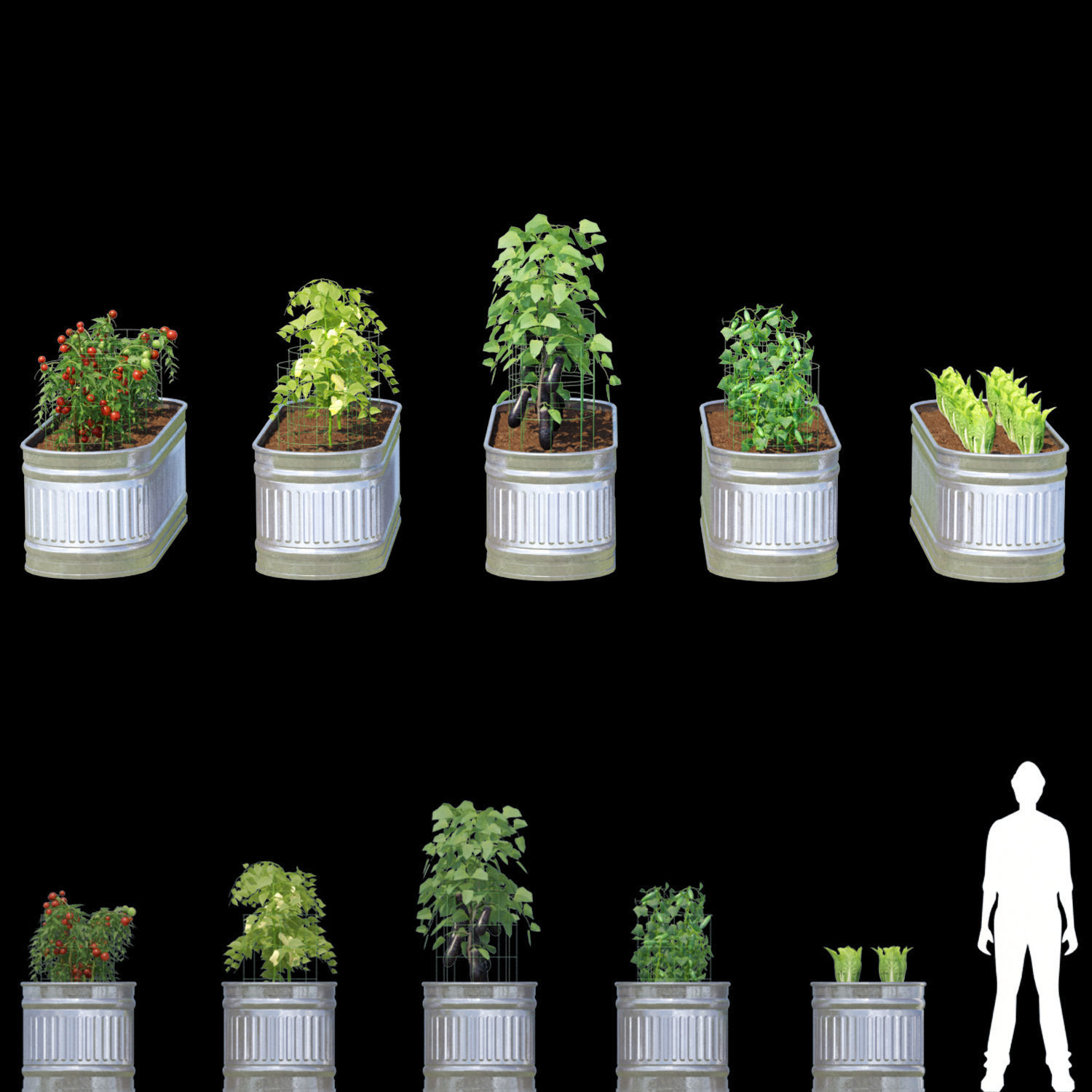 Kitchen garden vol1 3D model_5