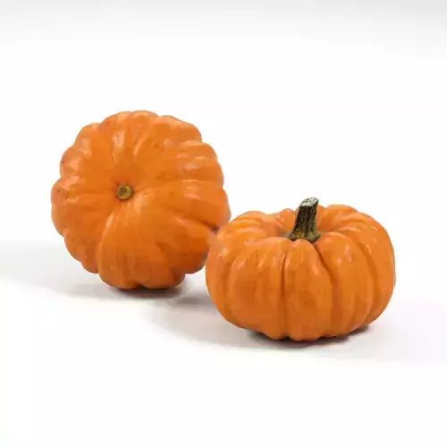 Pumpkin Munchkin 001 