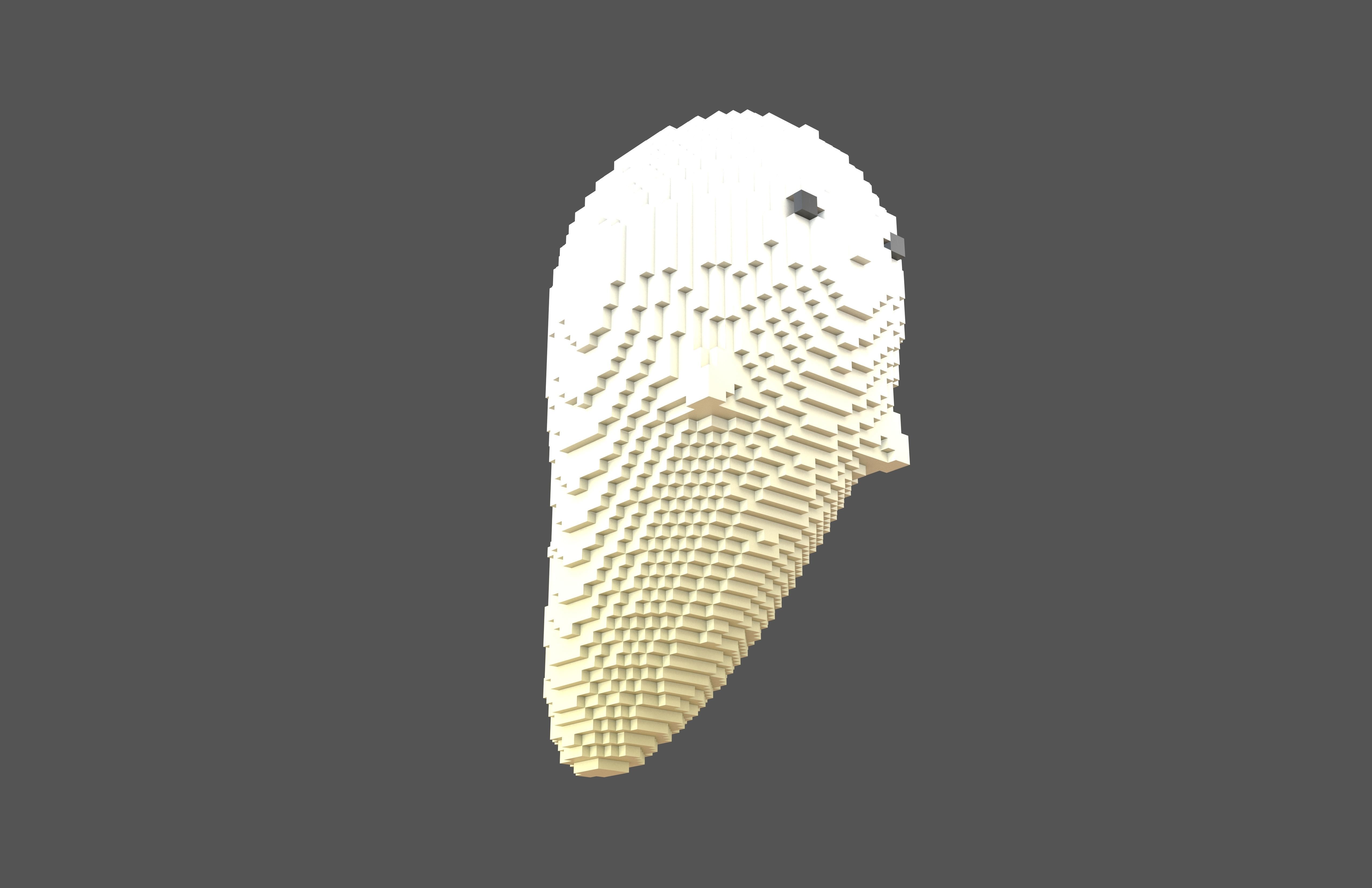 Voxel Soul Character v1 005 Low-poly 3D model_3