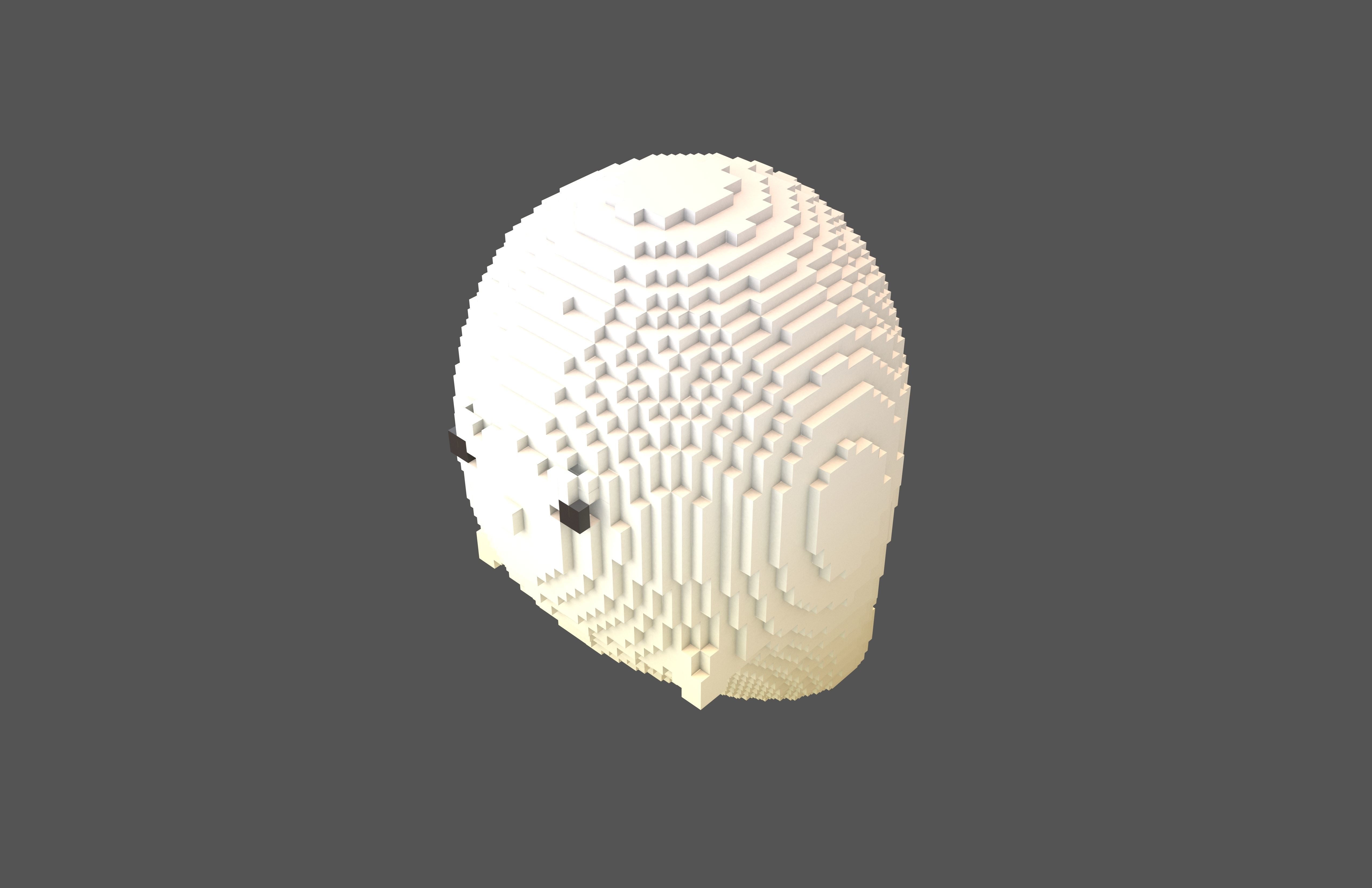 Voxel Soul Character v1 005 Low-poly 3D model_2