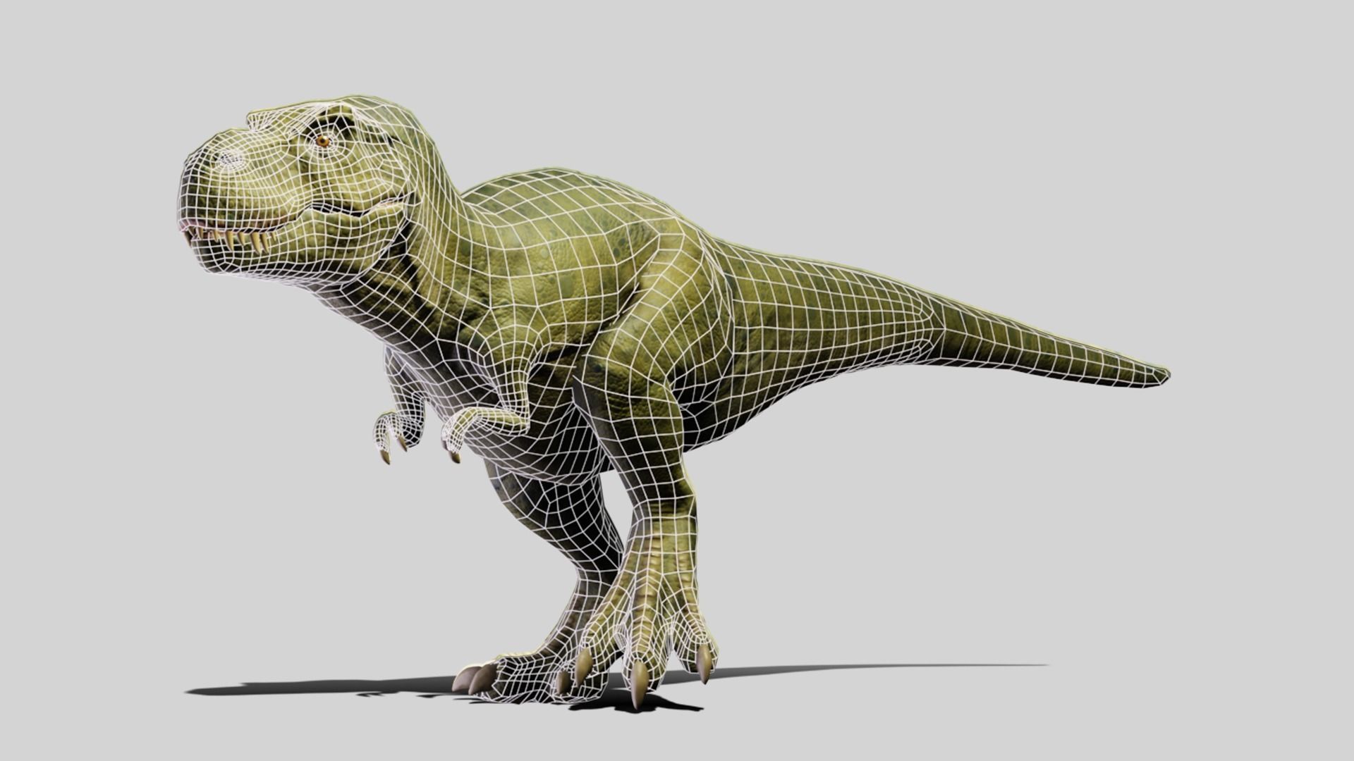 Tyrannosaurus rex Low-poly 3D model_10