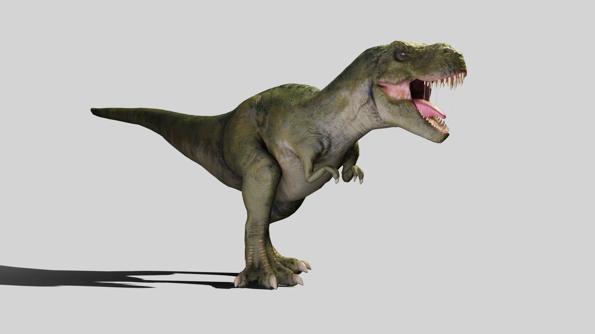 Tyrannosaurus rex Low-poly 3D model_4