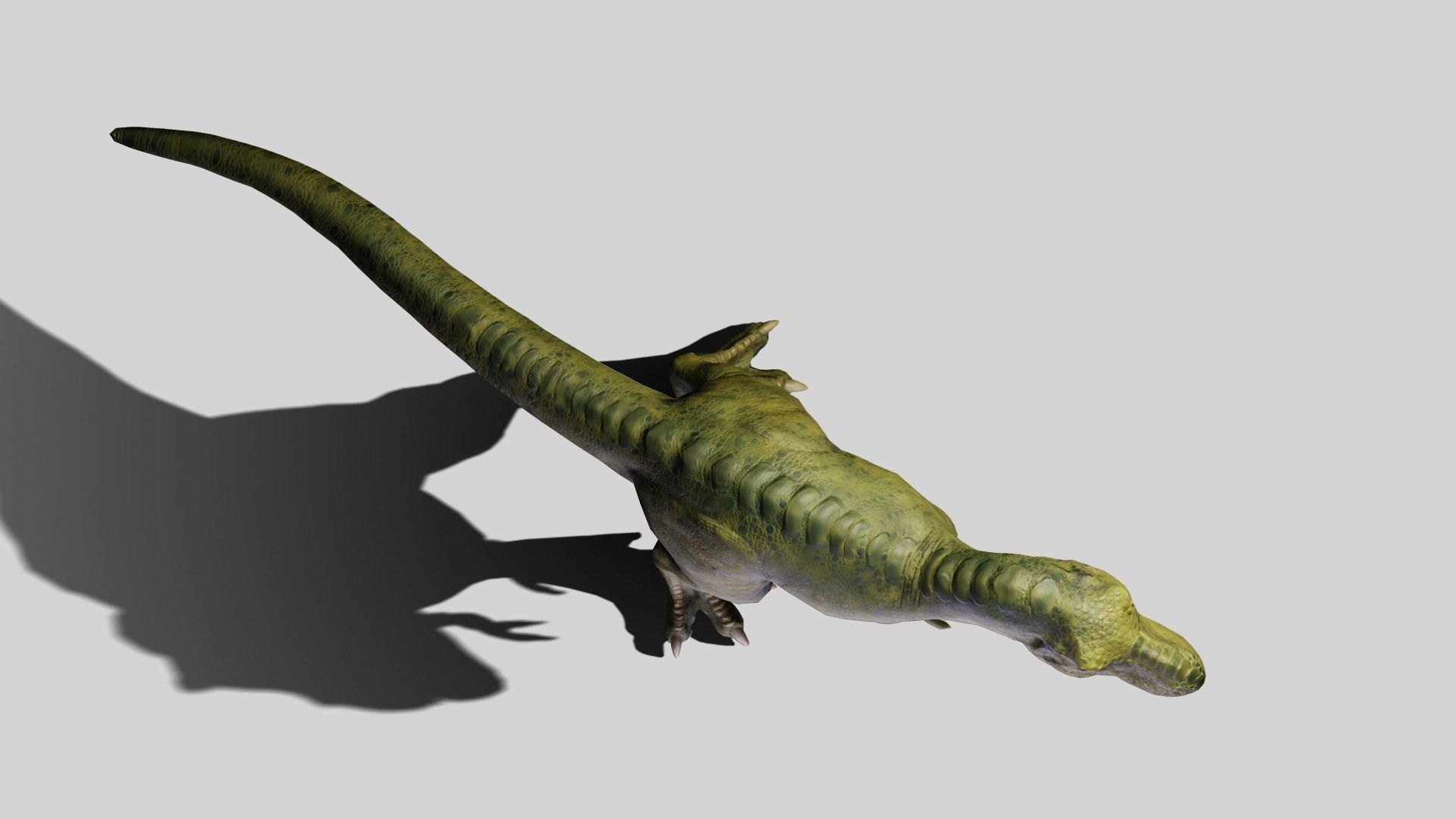 Tyrannosaurus rex Low-poly 3D model_13