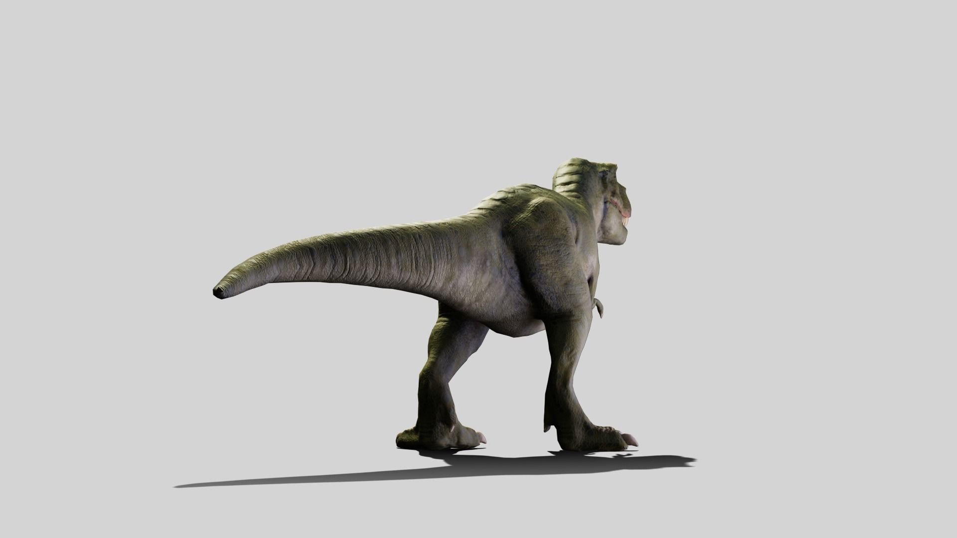 Tyrannosaurus rex Low-poly 3D model_5