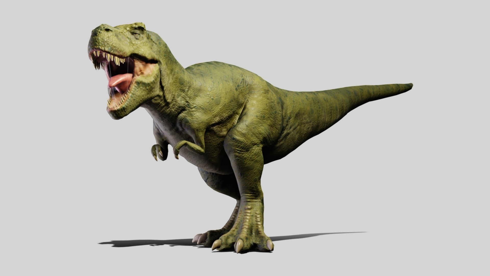 Tyrannosaurus rex Low-poly 3D model_8