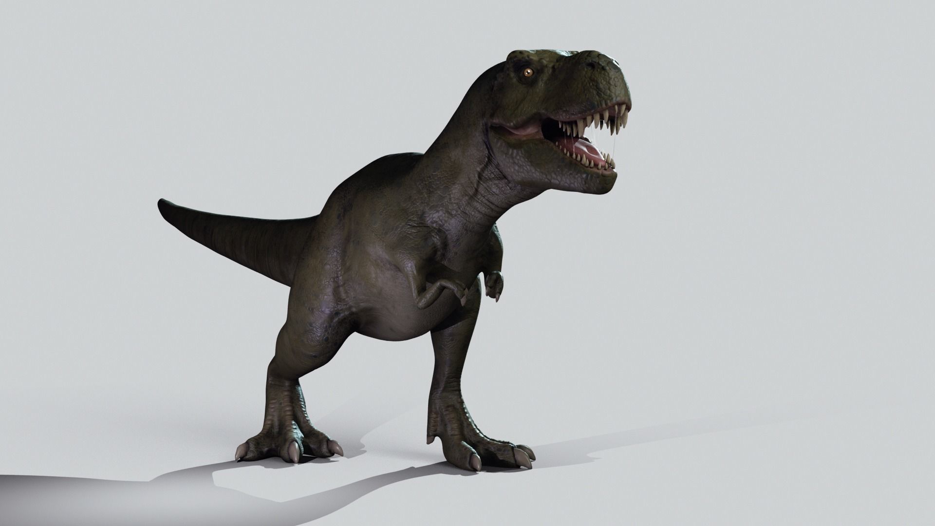 Tyrannosaurus rex Low-poly 3D model_14