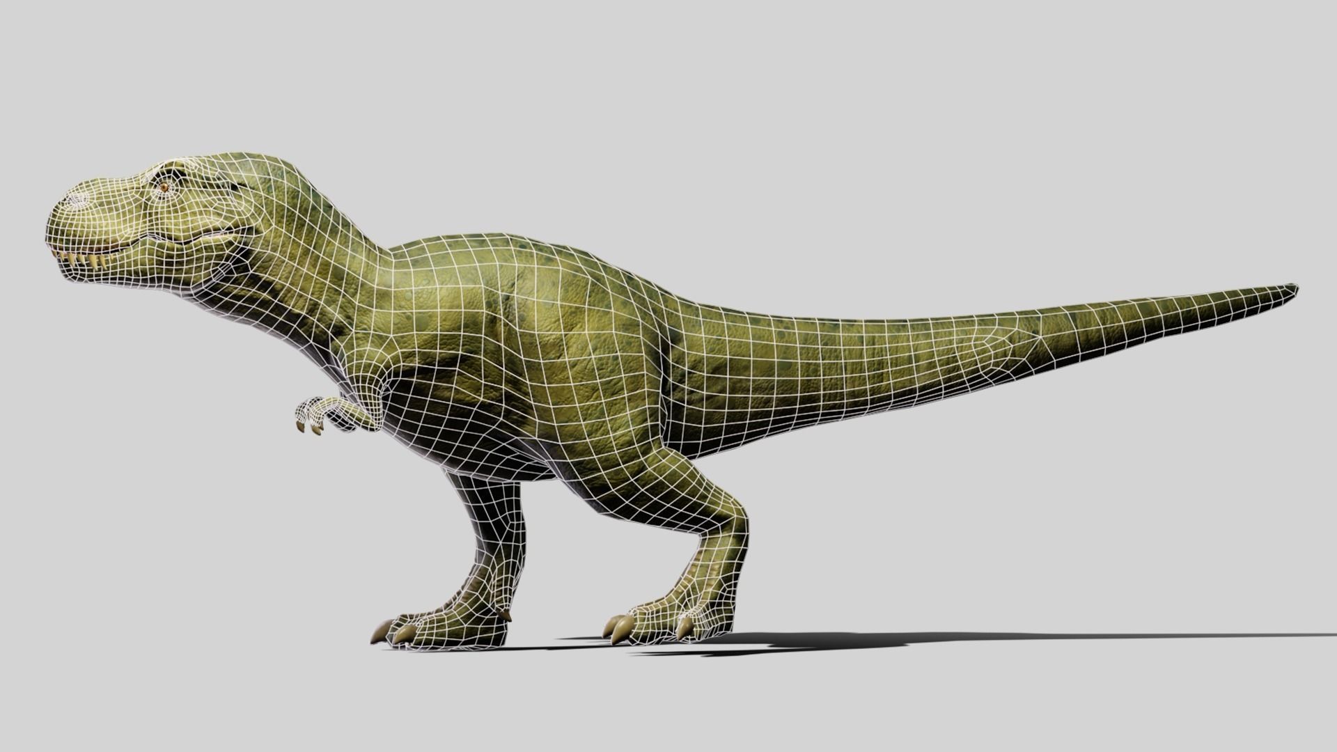 Tyrannosaurus rex Low-poly 3D model_9