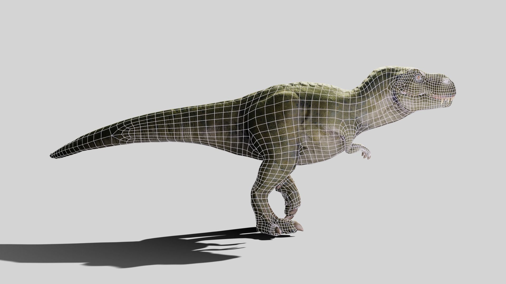 Tyrannosaurus rex Low-poly 3D model_12