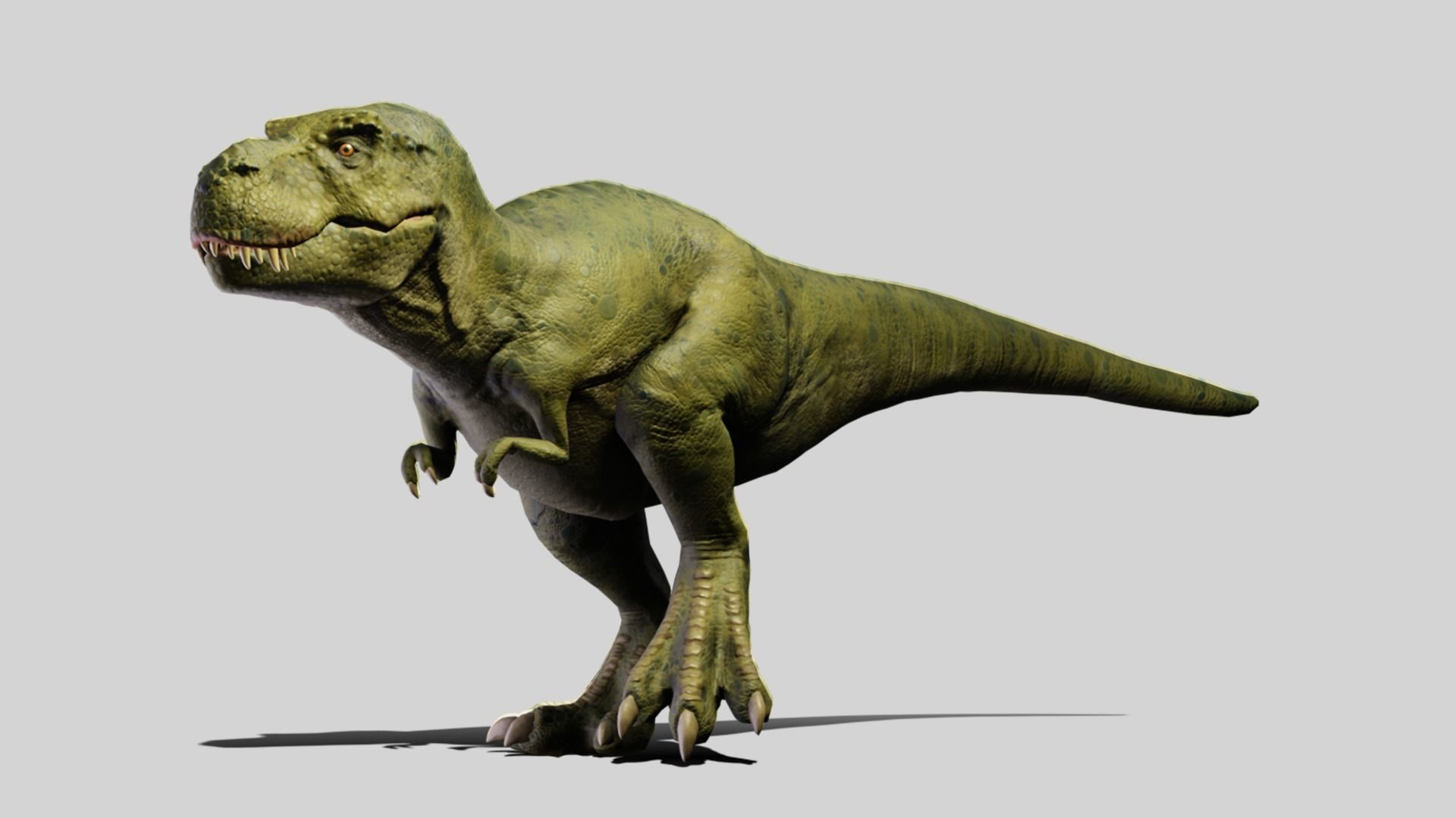 Tyrannosaurus rex Low-poly 3D model_7