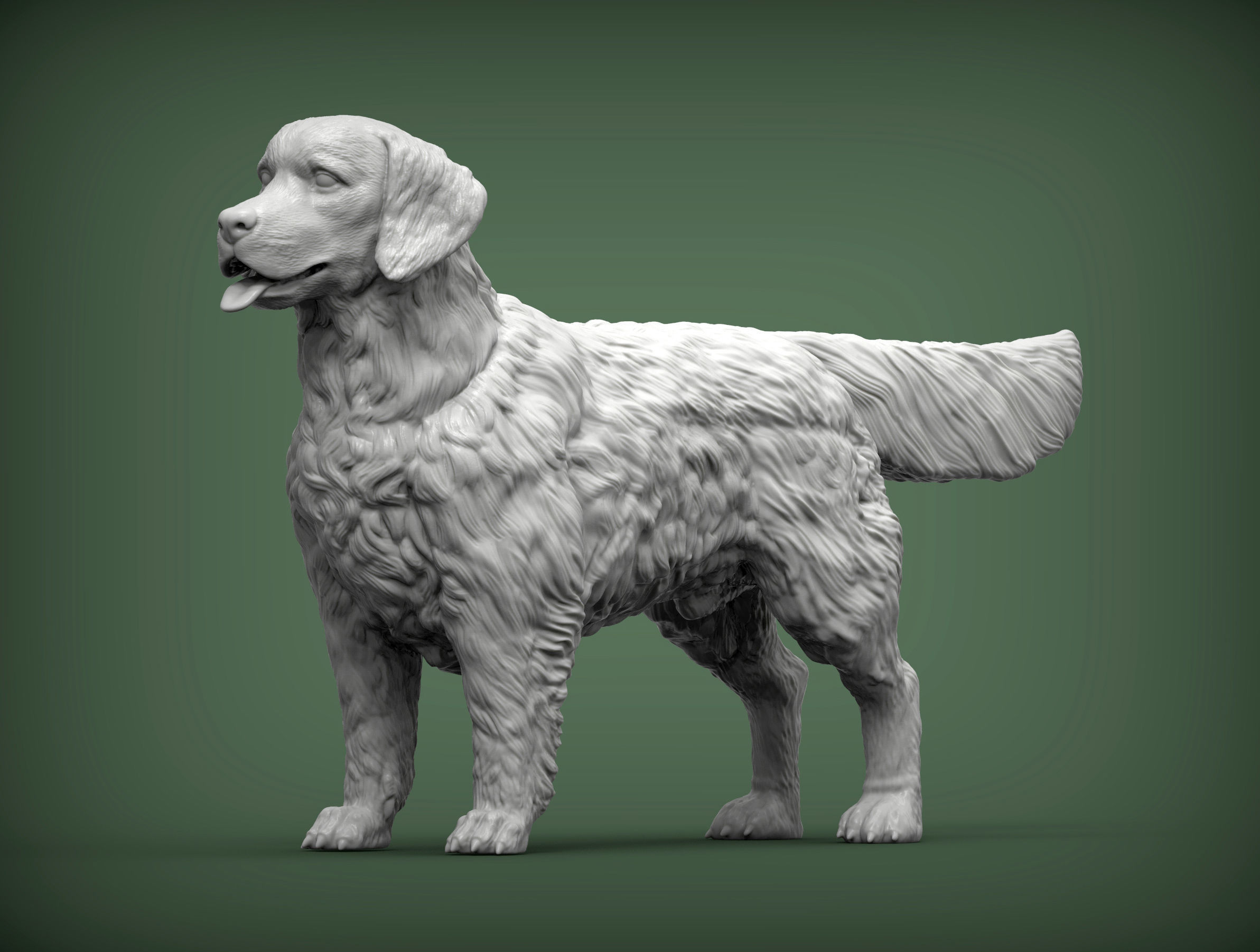 Golden retriever 3D print model_2