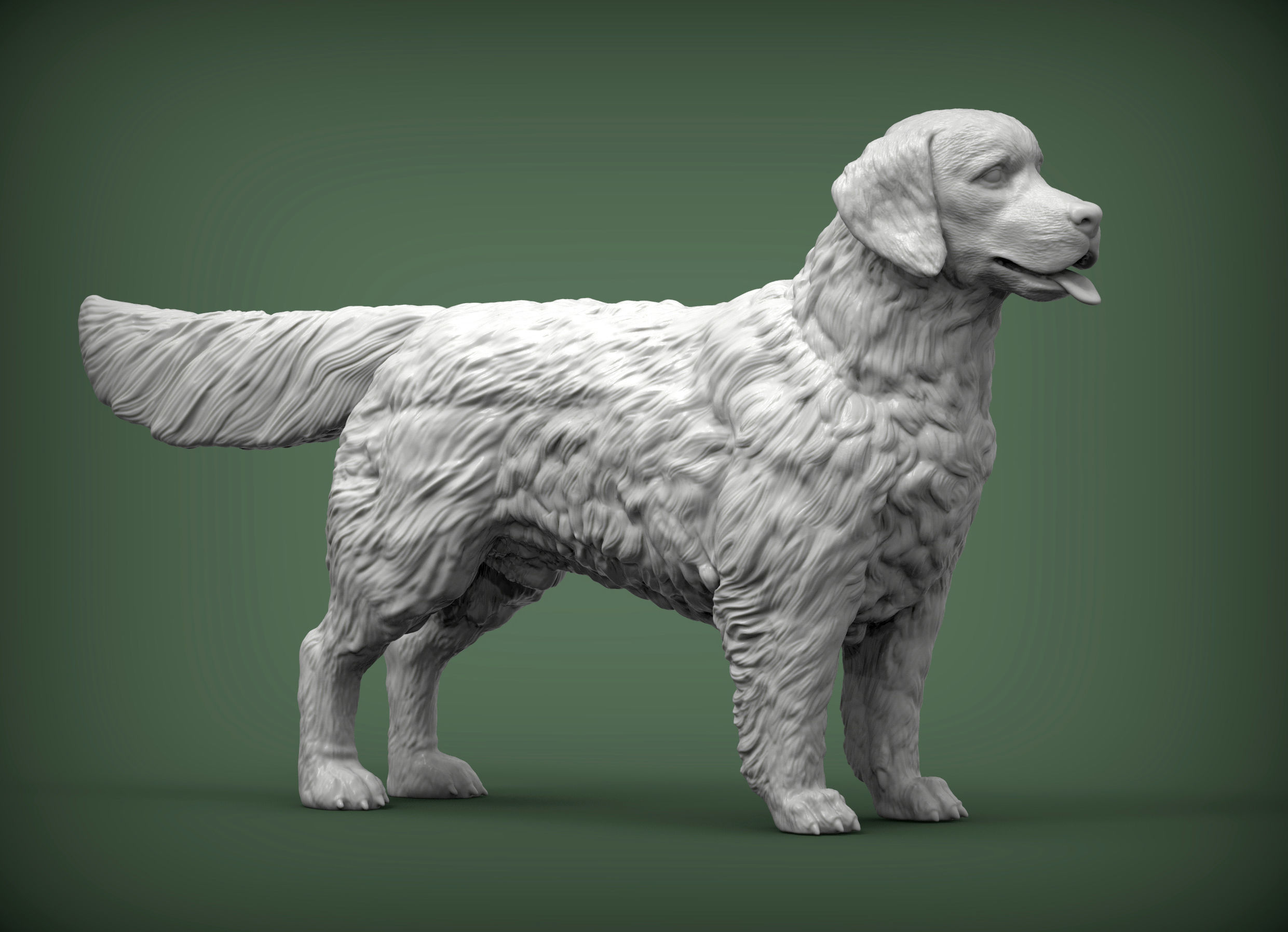 Golden retriever 3D print model_3