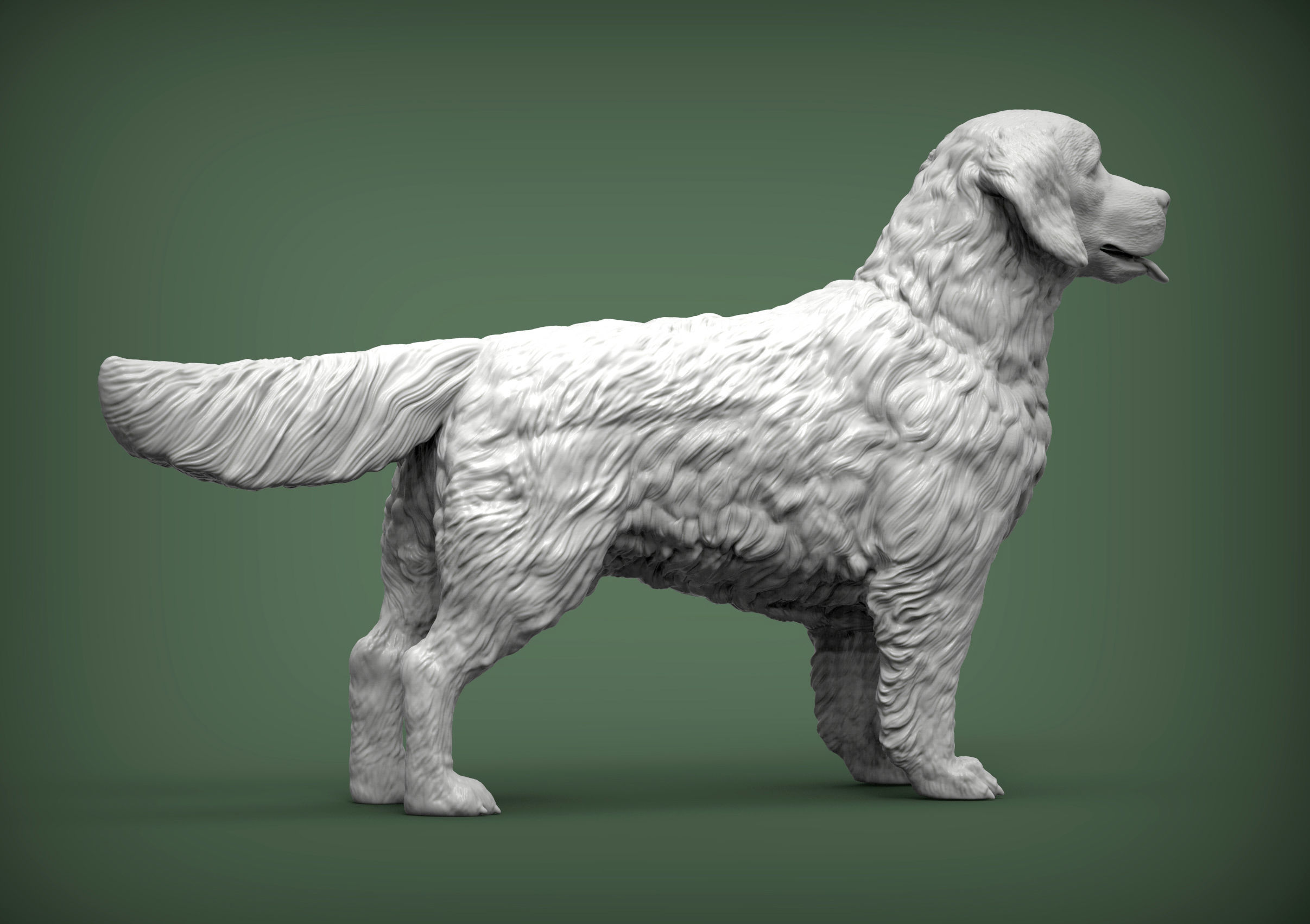 Golden retriever 3D print model_4