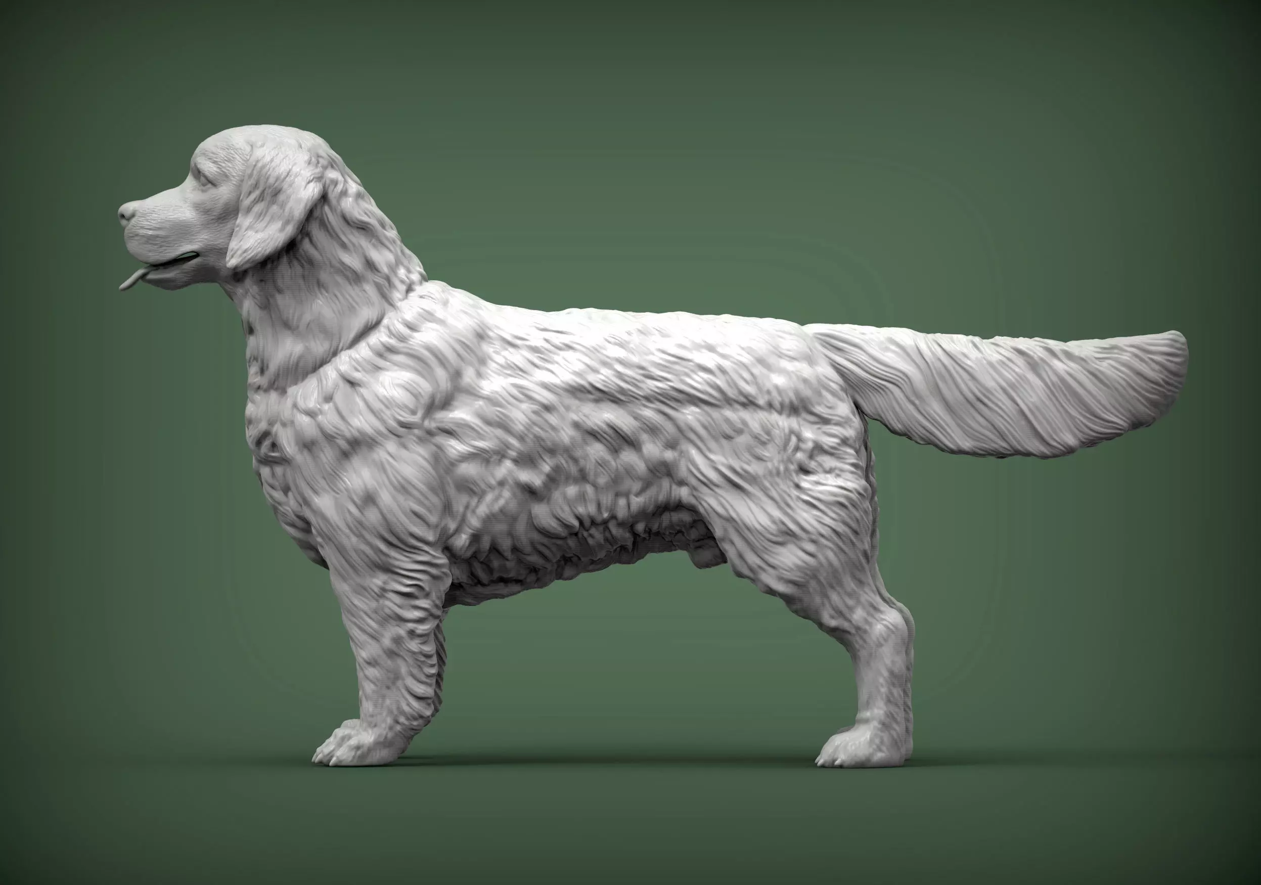 Golden retriever 3D print model_0
