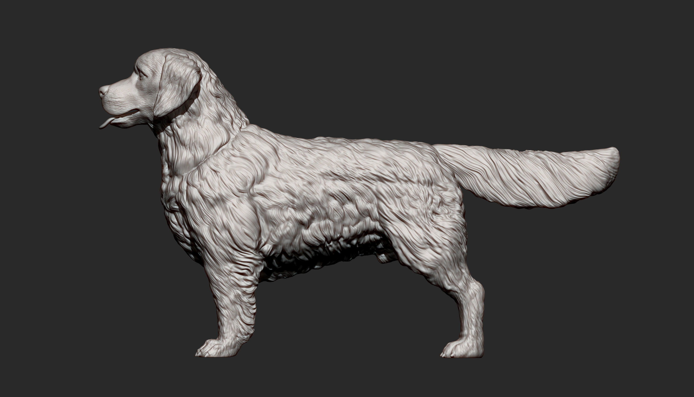 Golden retriever 3D print model_6