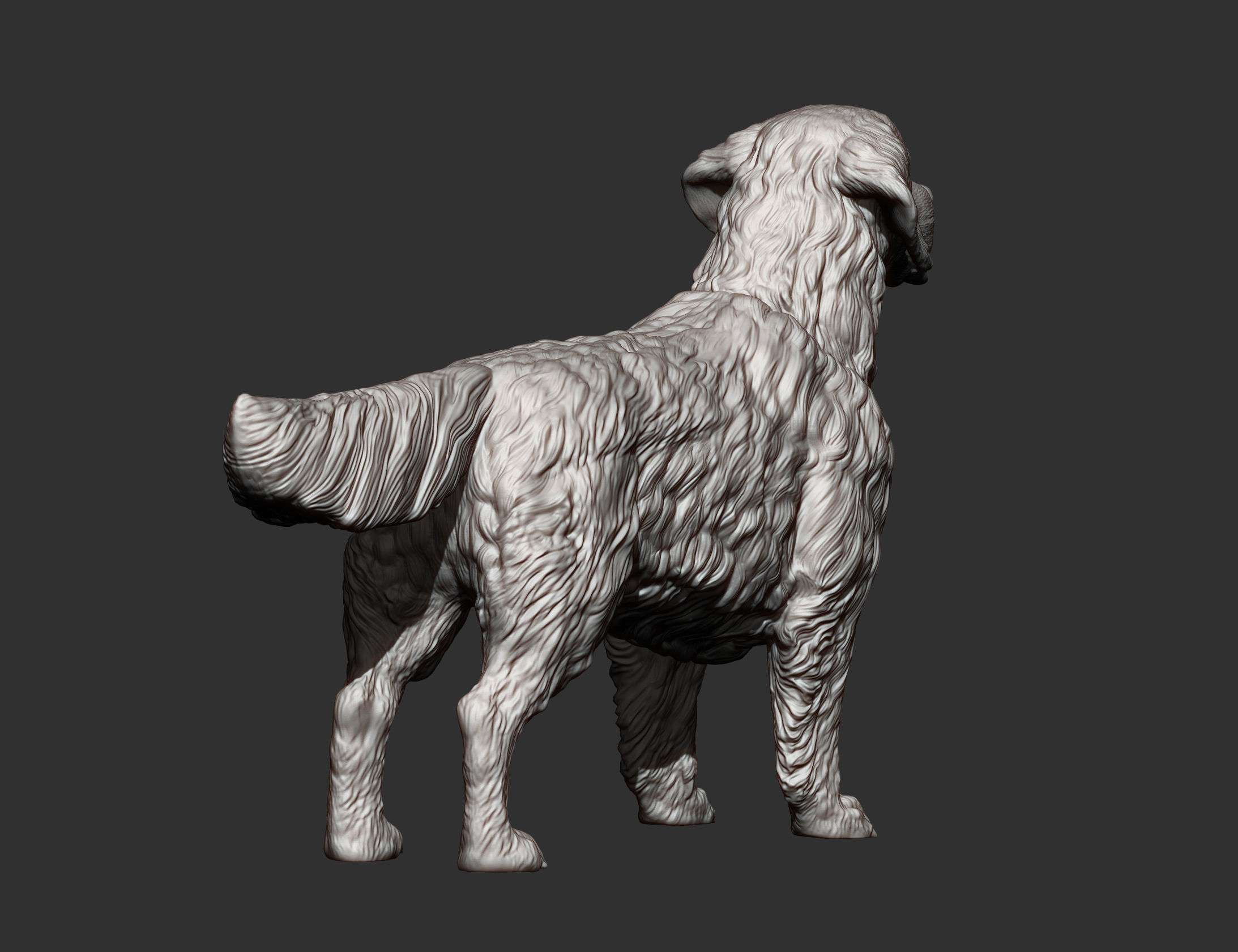Golden retriever 3D print model_10