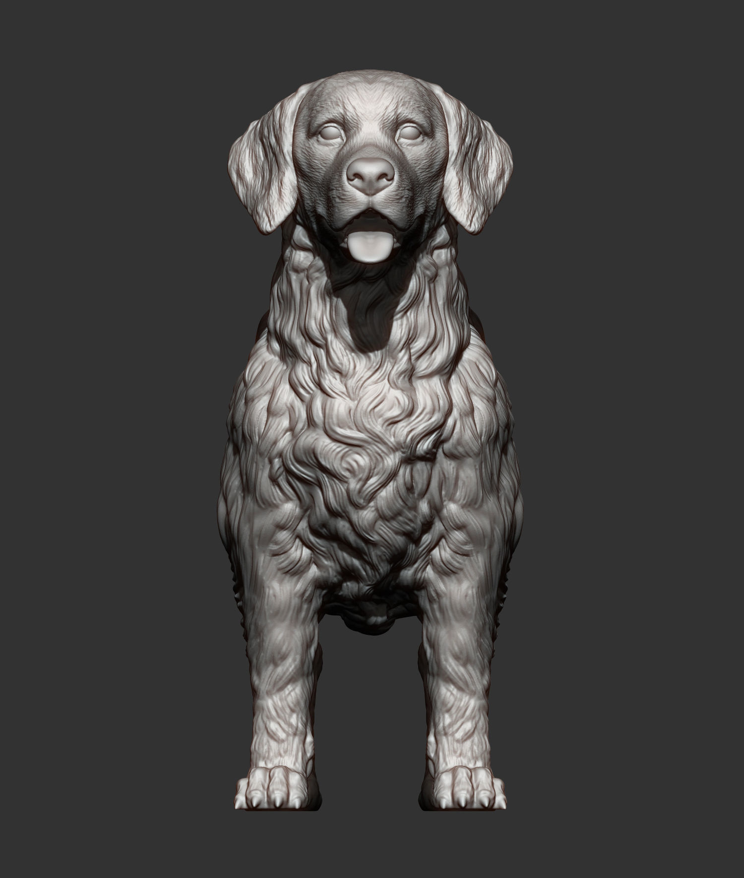 Golden retriever 3D print model_8