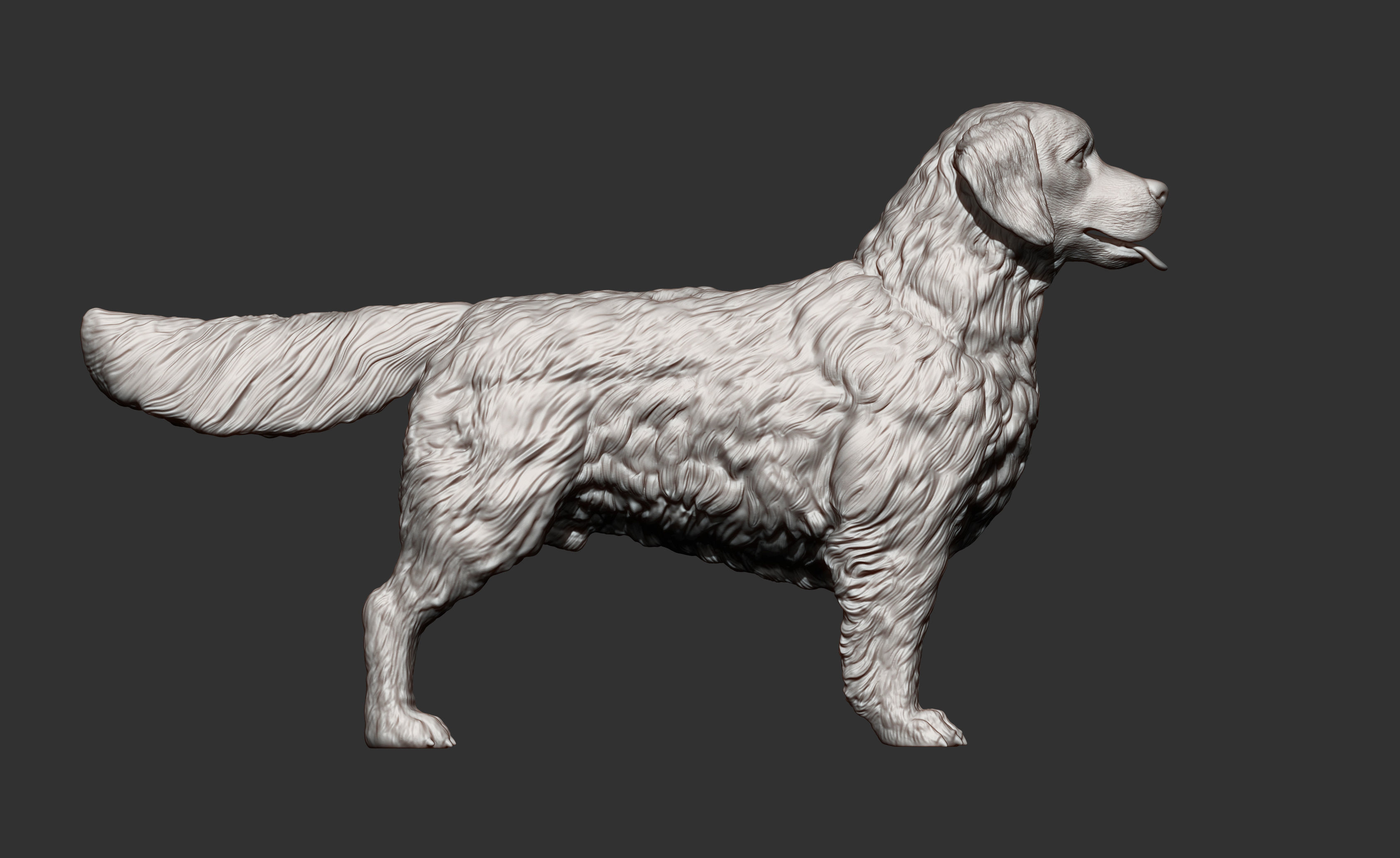 Golden retriever 3D print model_7