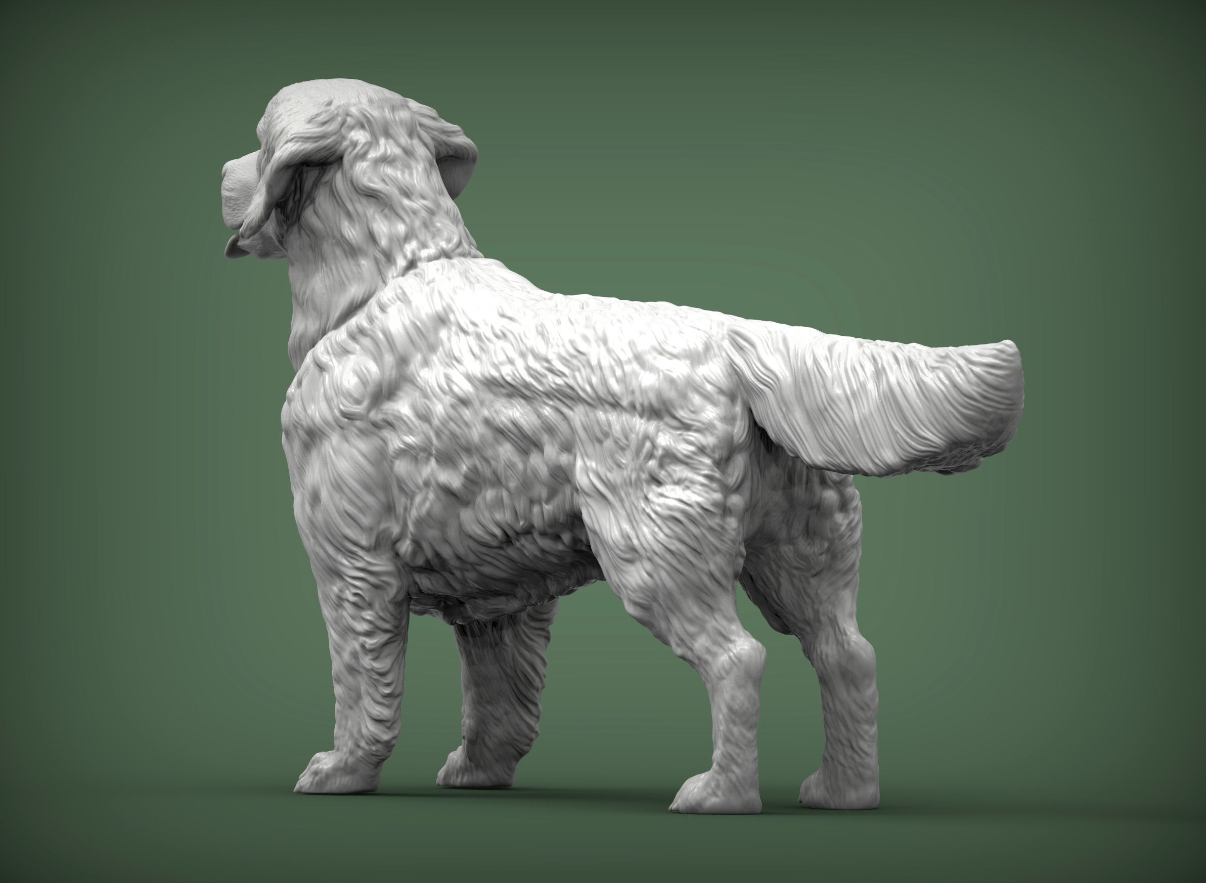 Golden retriever 3D print model_5