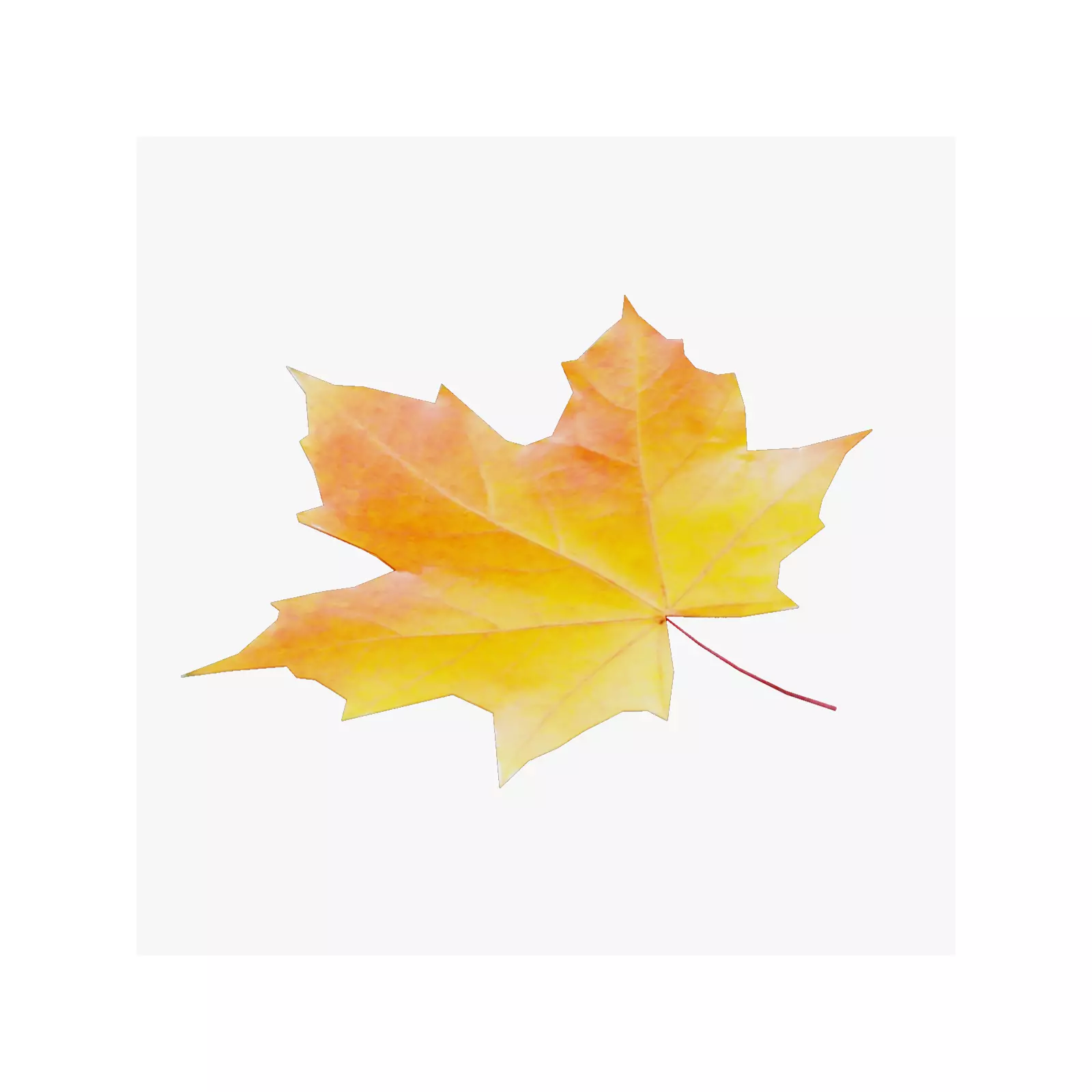 Maple Leaf 3D model