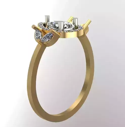 Coctail halo ring