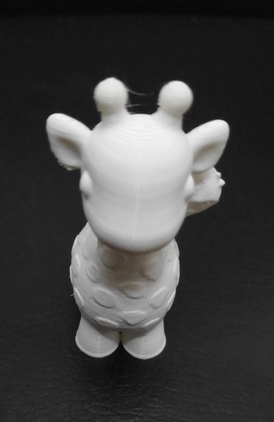 Giraffe with Monkey 3D print model_14