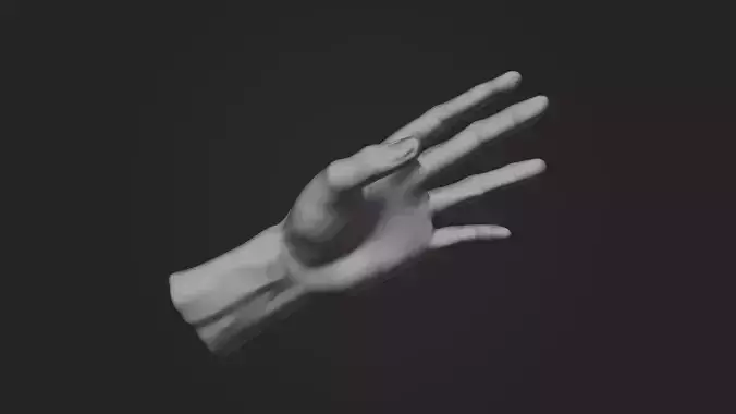 Male Left Hand 3D model
