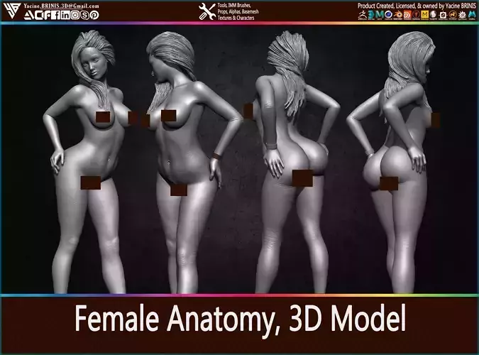 Female Anatomy 3D Model