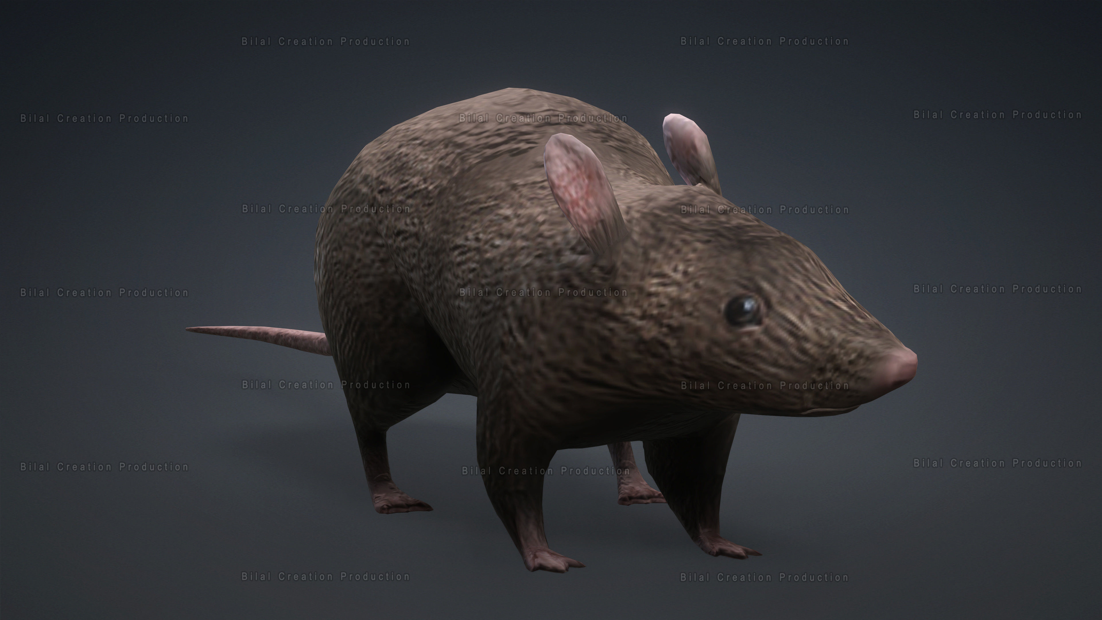 MOUSE GRAY RAT ANIMATED Low-poly 3D model_6