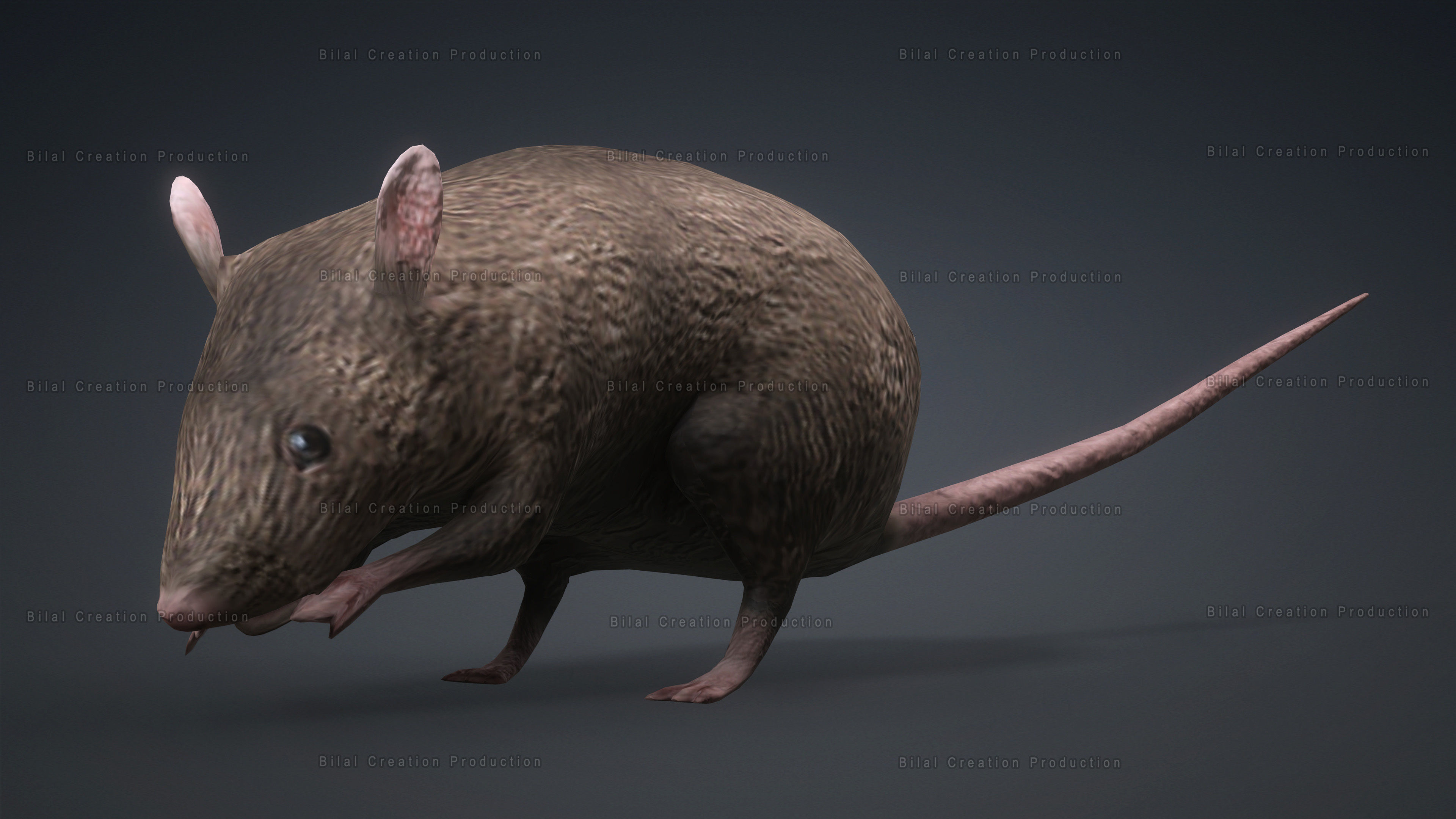 MOUSE GRAY RAT ANIMATED Low-poly 3D model_9