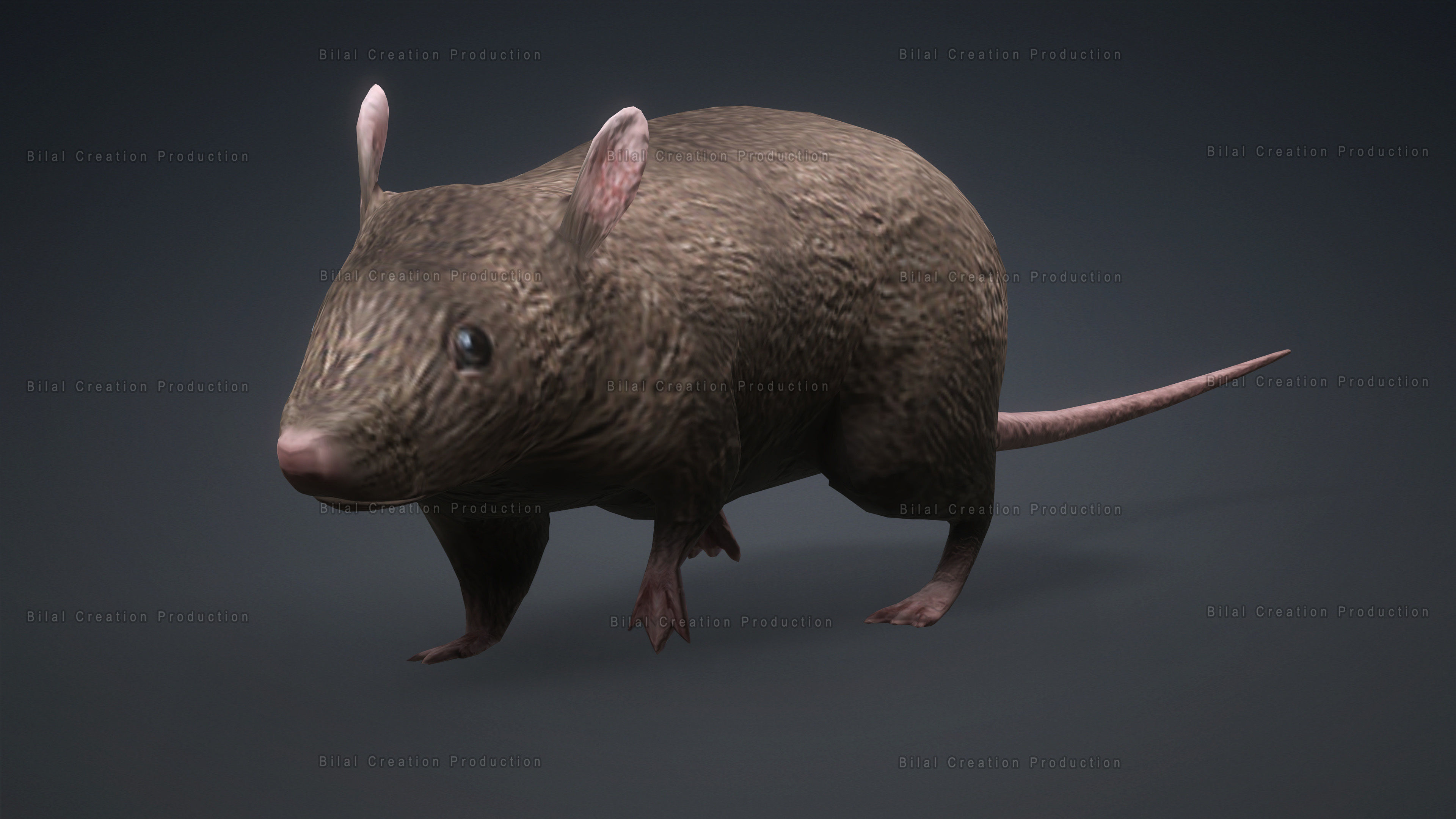 MOUSE GRAY RAT ANIMATED Low-poly 3D model_5