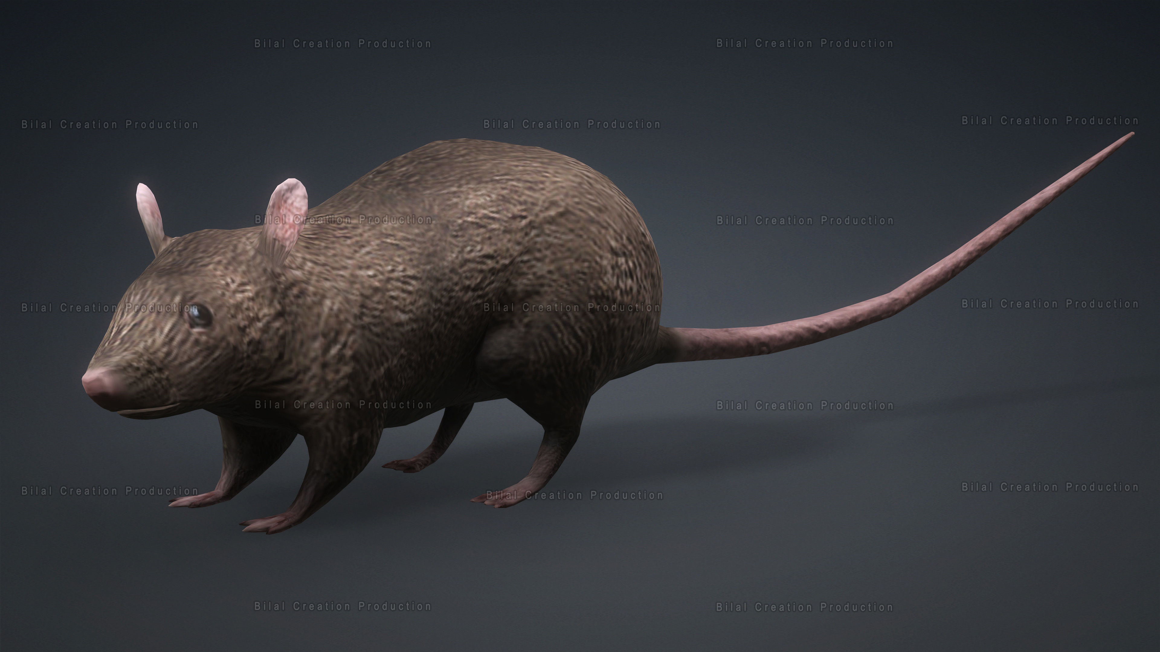 MOUSE GRAY RAT ANIMATED Low-poly 3D model_10