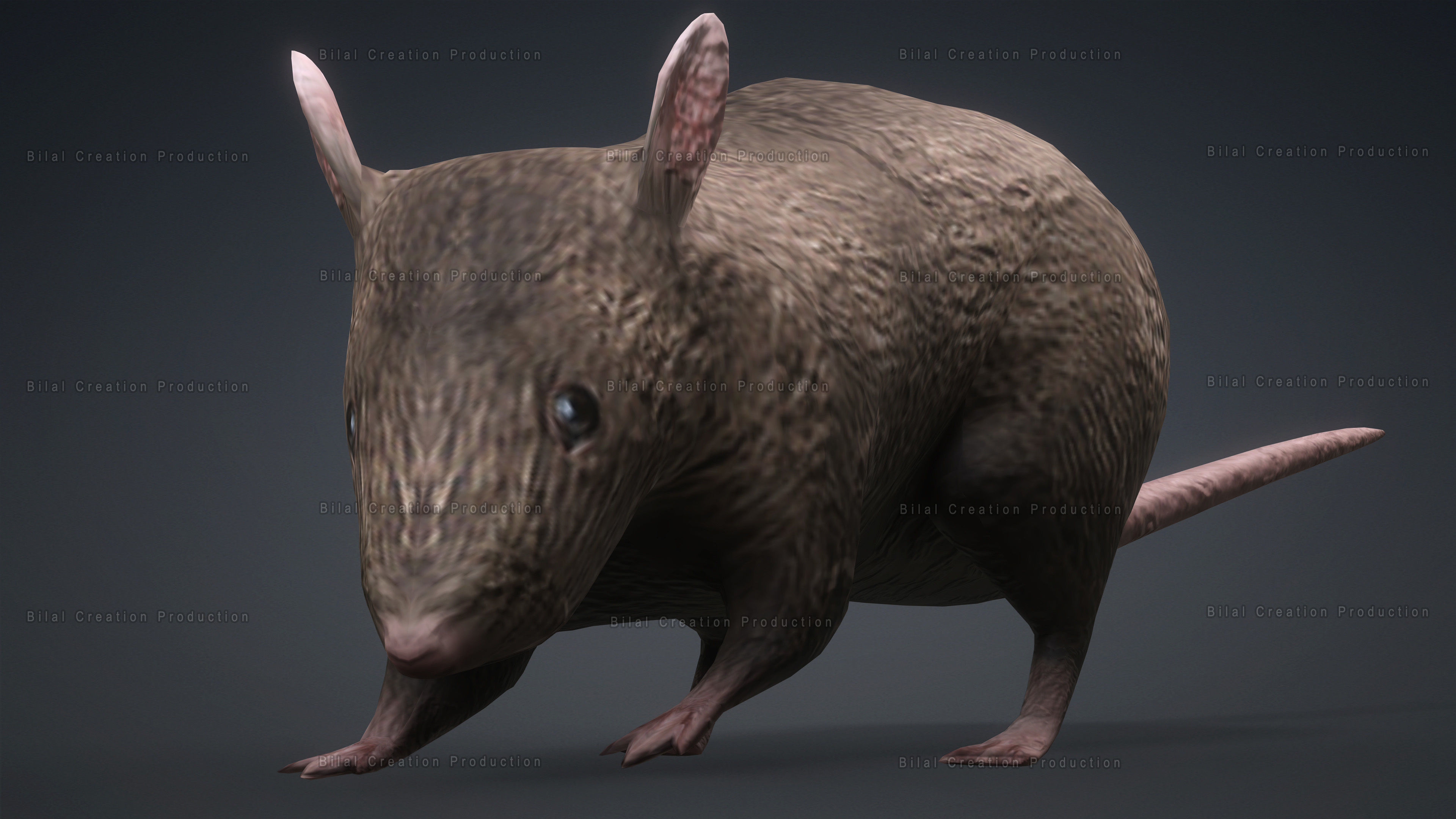 MOUSE GRAY RAT ANIMATED Low-poly 3D model_11