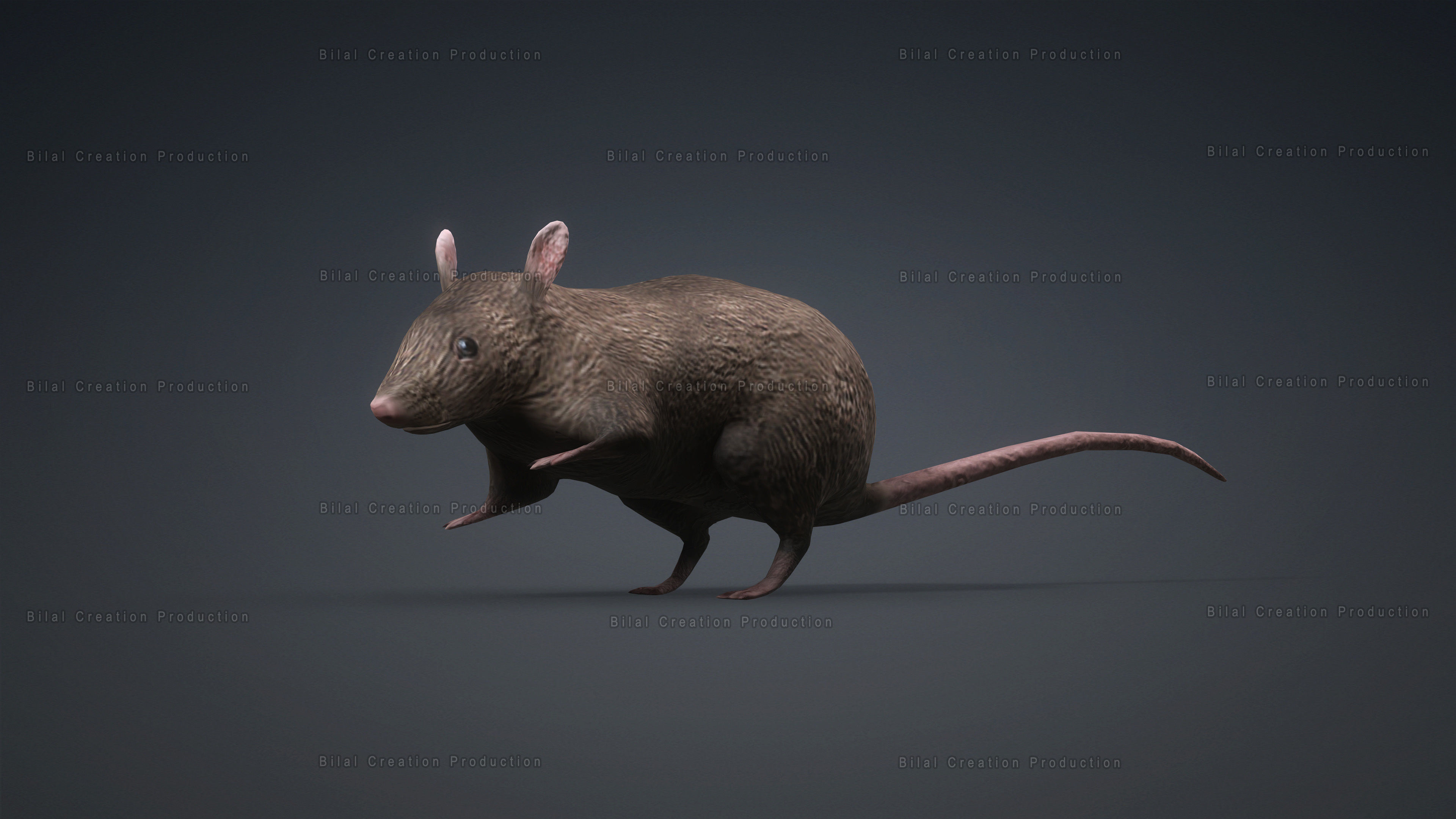 MOUSE GRAY RAT ANIMATED Low-poly 3D model_4