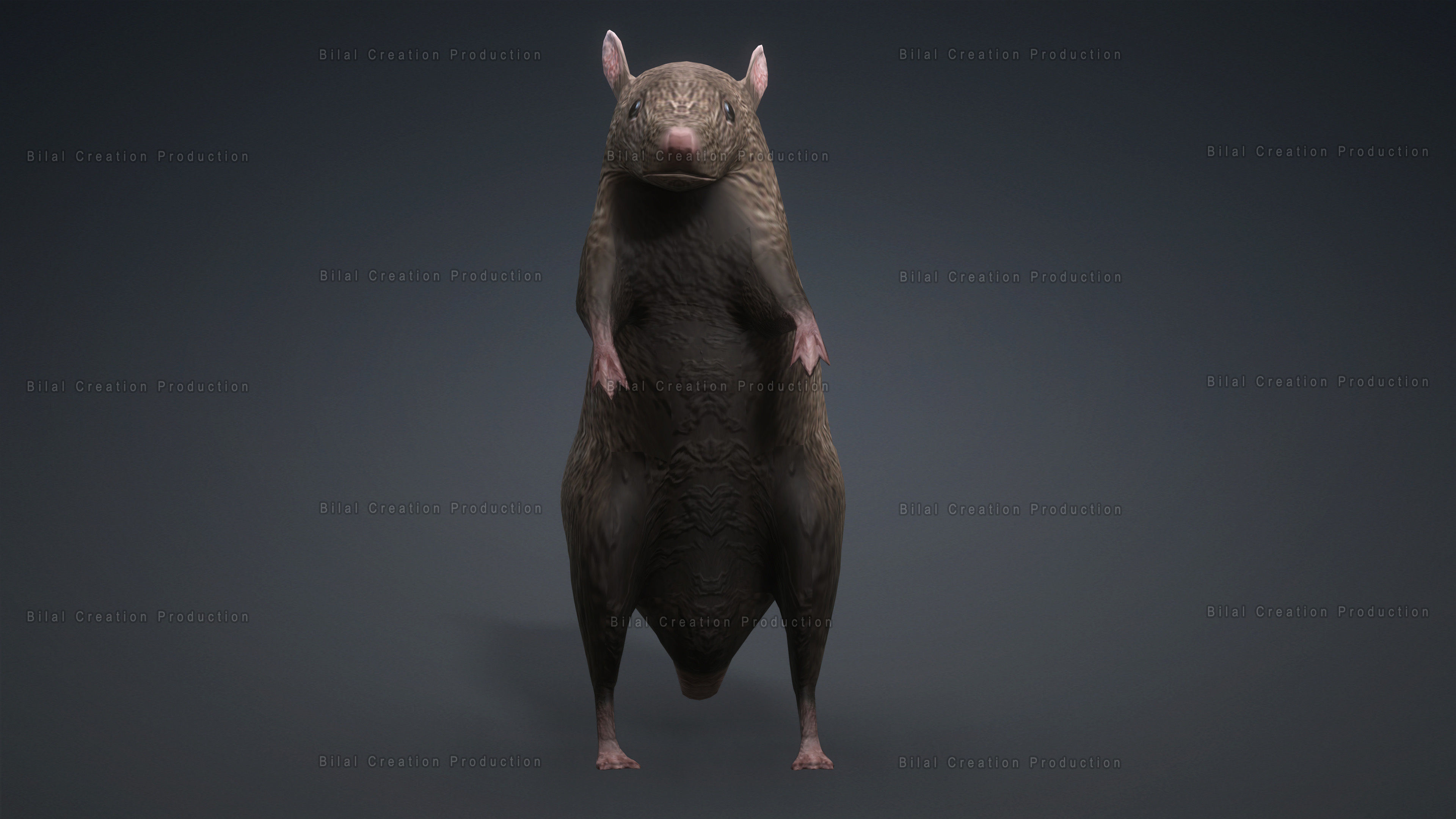 MOUSE GRAY RAT ANIMATED Low-poly 3D model_7