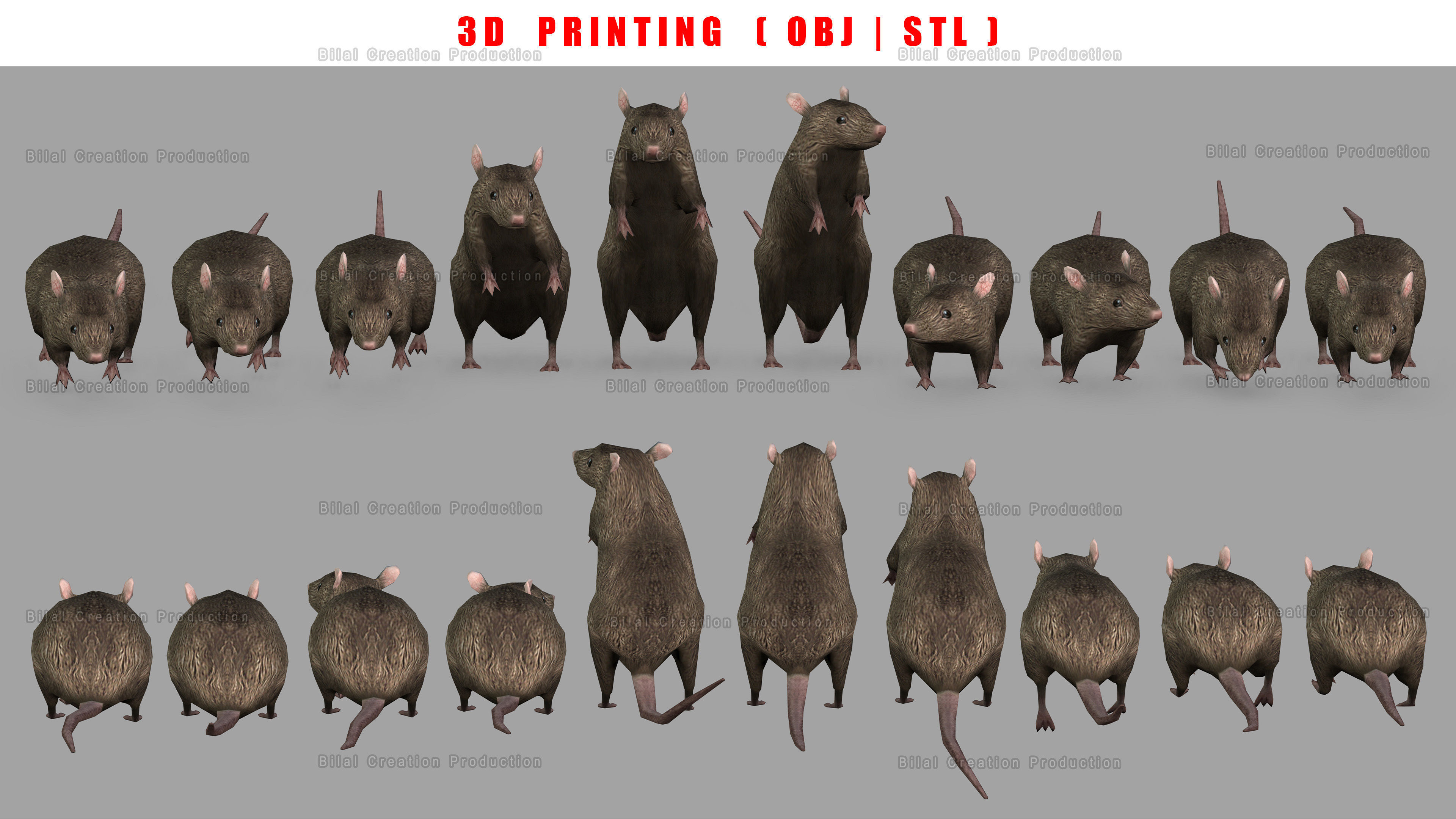 MOUSE GRAY RAT ANIMATED Low-poly 3D model_14