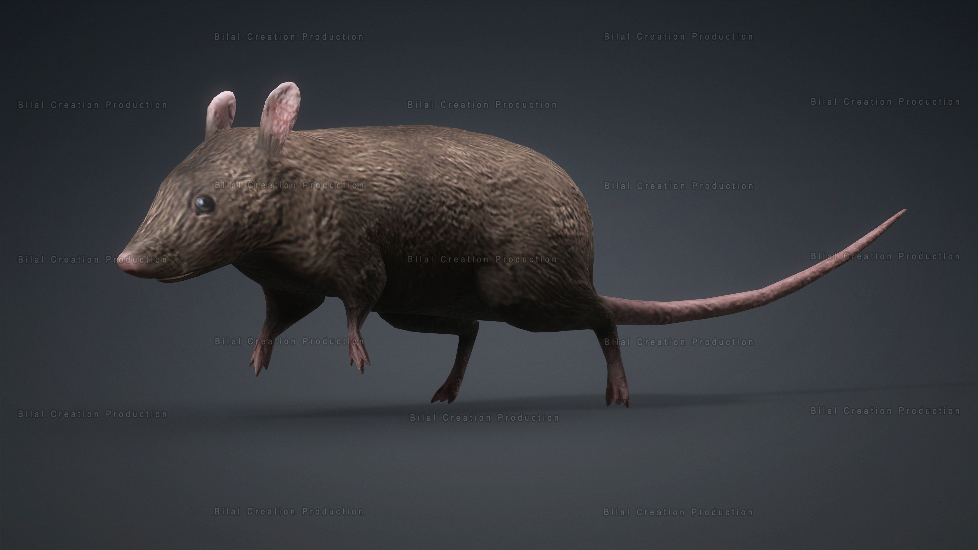 MOUSE GRAY RAT ANIMATED Low-poly 3D model_3