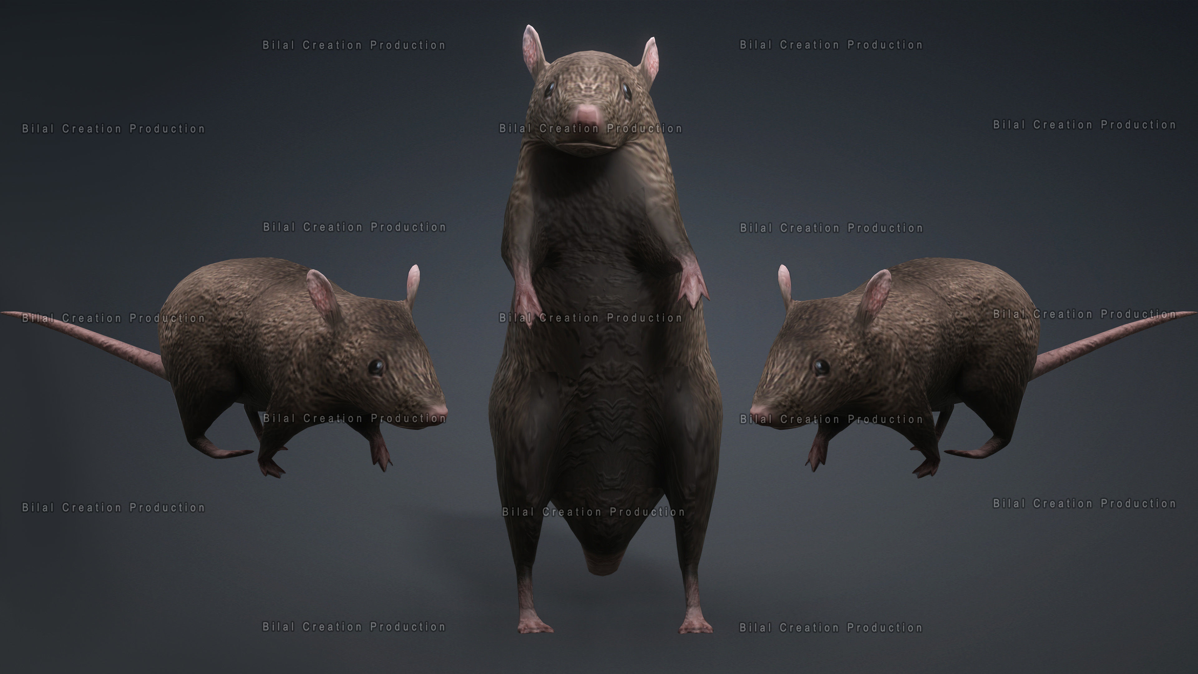 MOUSE GRAY RAT ANIMATED Low-poly 3D model_2