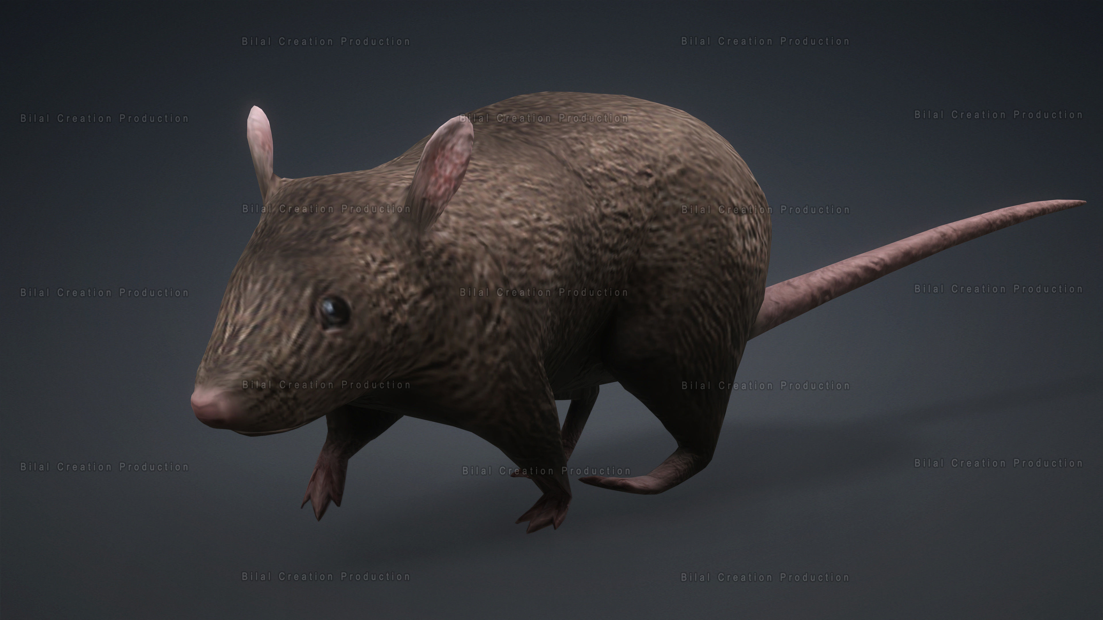 MOUSE GRAY RAT ANIMATED Low-poly 3D model_8