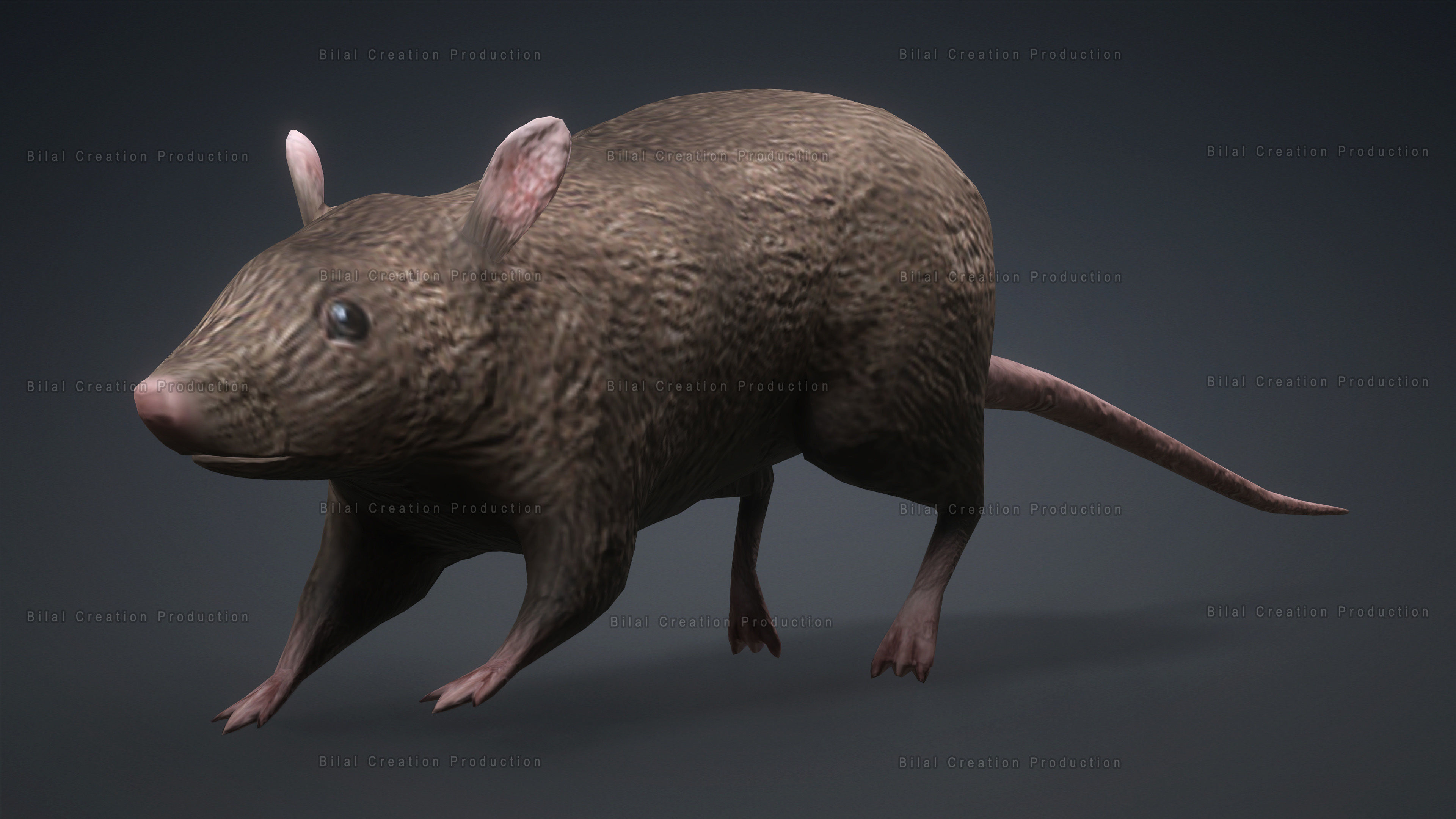 MOUSE GRAY RAT ANIMATED Low-poly 3D model_12