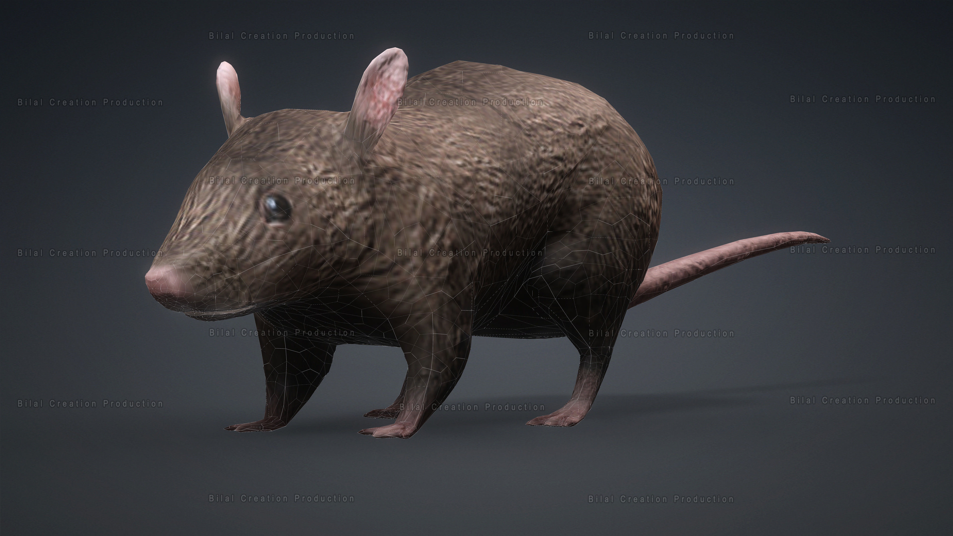 MOUSE GRAY RAT ANIMATED Low-poly 3D model_19